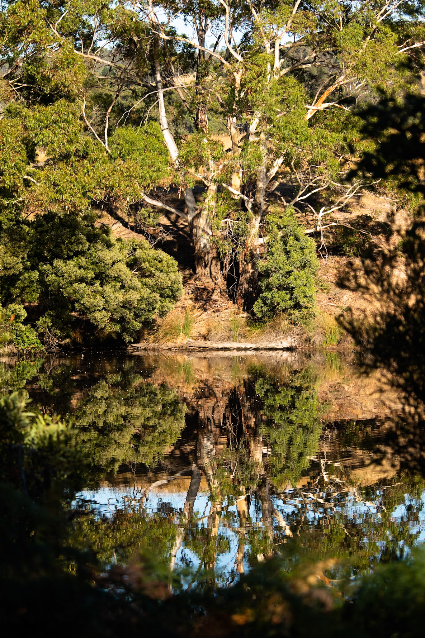 Peter Murrel Reserve, Hobart, Tasmania