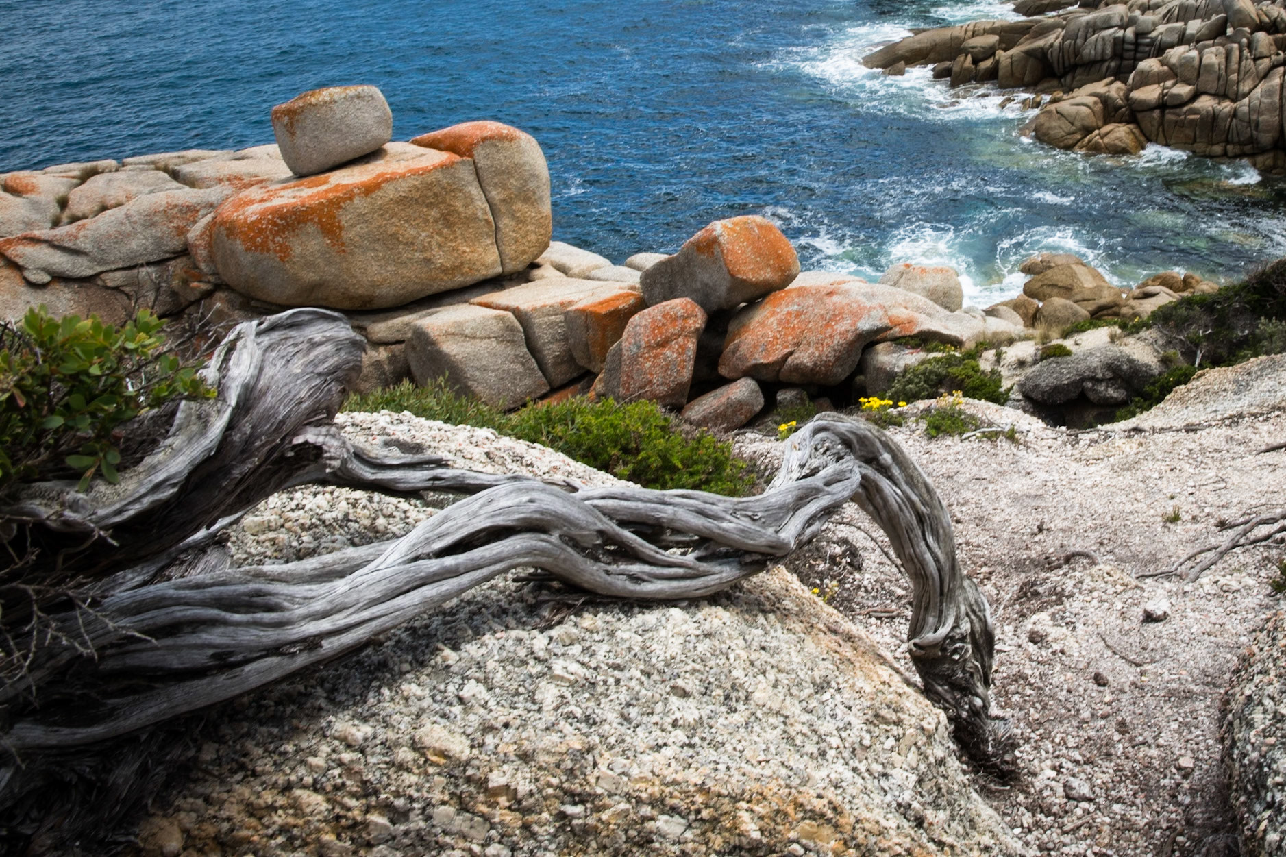 Tuesday am - Darby Saddle via Sparkes Lookout and Lookout Rocks to Tongue Point; and then on to Darby River for lunch.Tuesday pm - Lilly Pilly Gully carpark up to Tidal Overlook and on to Pillar Point then via Squeaky Beach and Picnic Beach to Picnic Beach carpark.