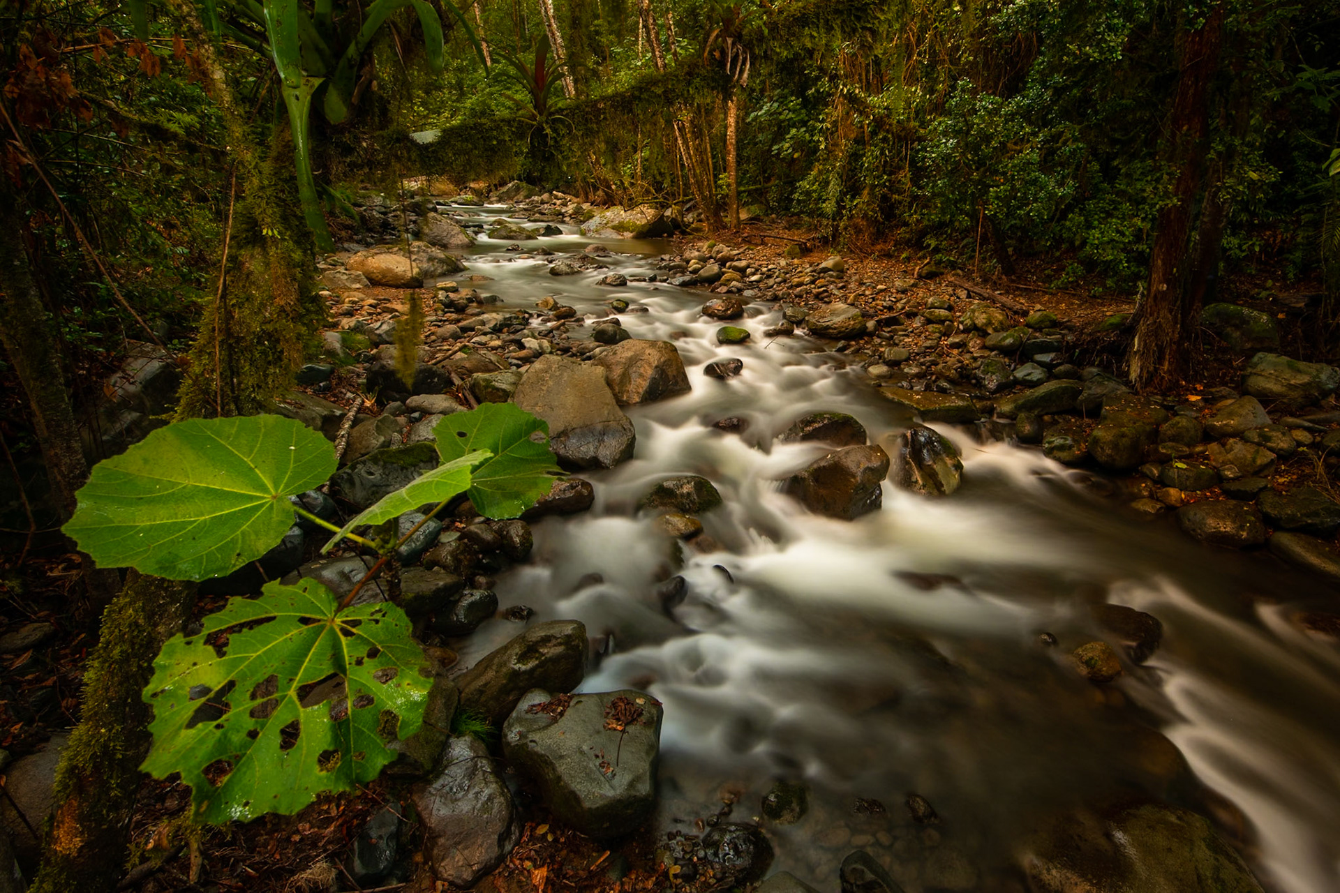 Savegre river, Savegre, Costa Rica