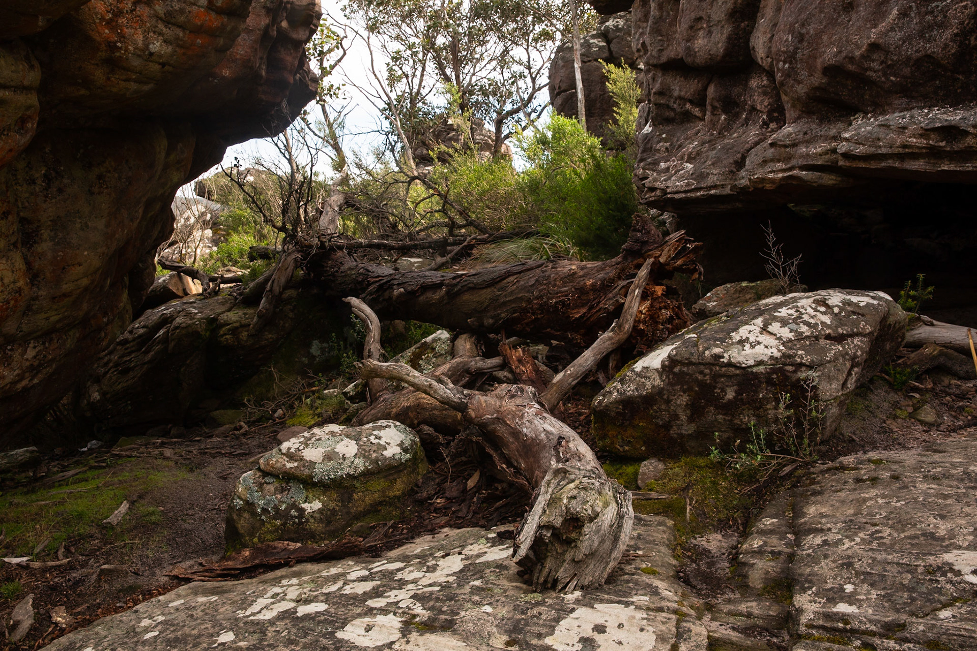 The Pinnacle circuit, Hall's Gap, The Grampians, Victoria