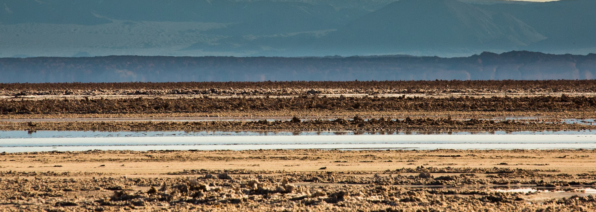 Salar de Atacama, Chaxa lagoon, Atacama, Chile