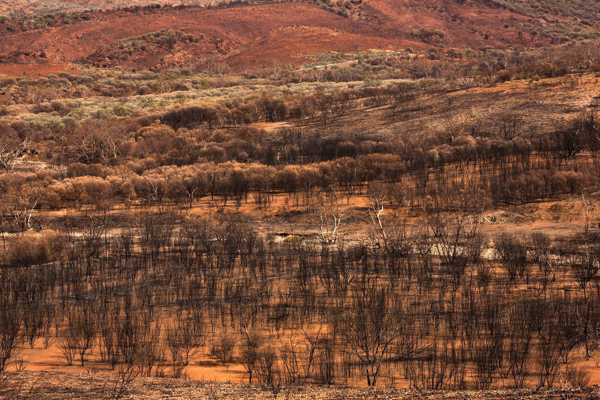 Charlie's Camp to Ochre pits, Larapinta Trail, Northern Territory, Australia