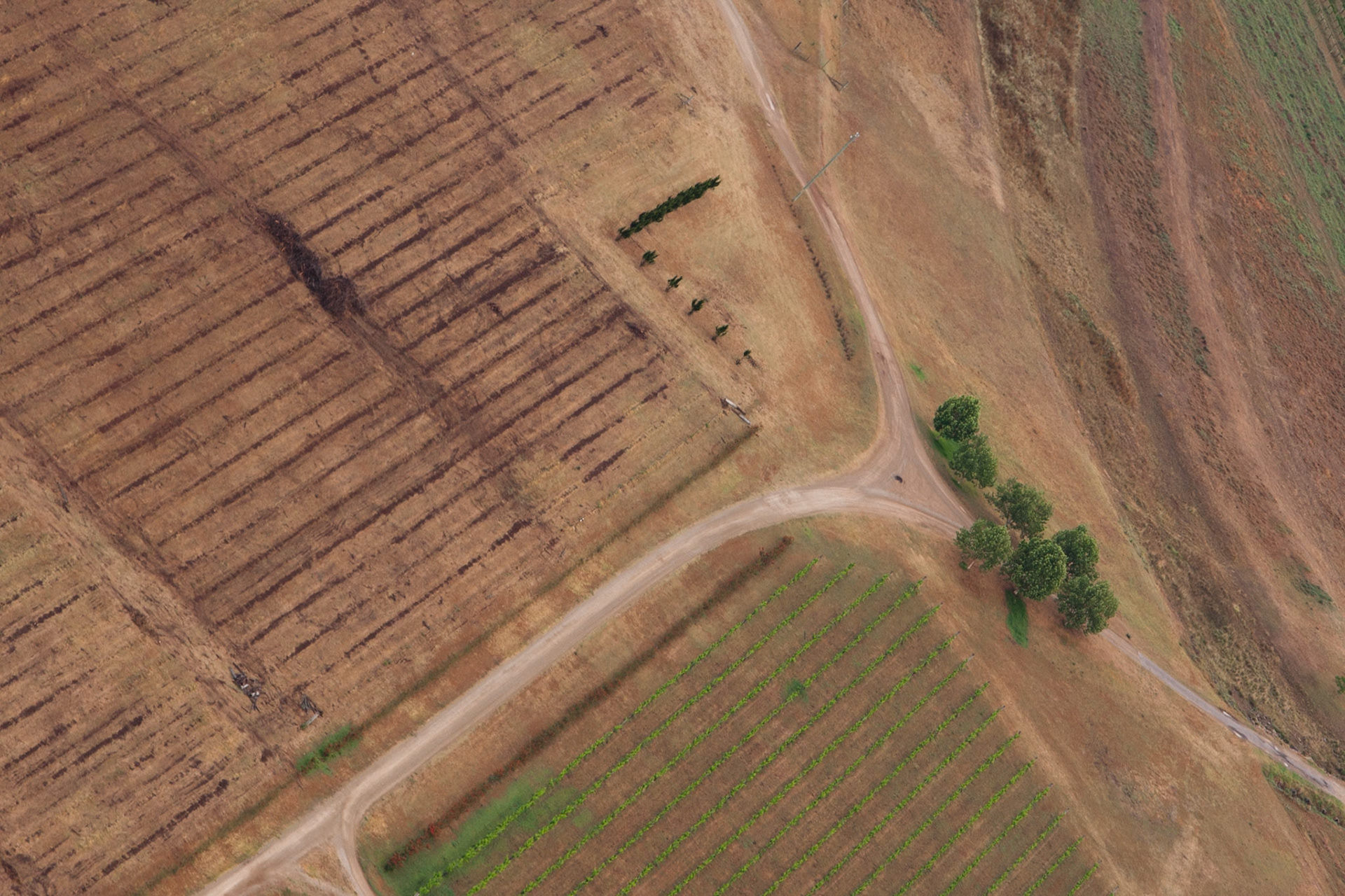 Hot air balloon ride in the Hunter Valley, New South Wales.