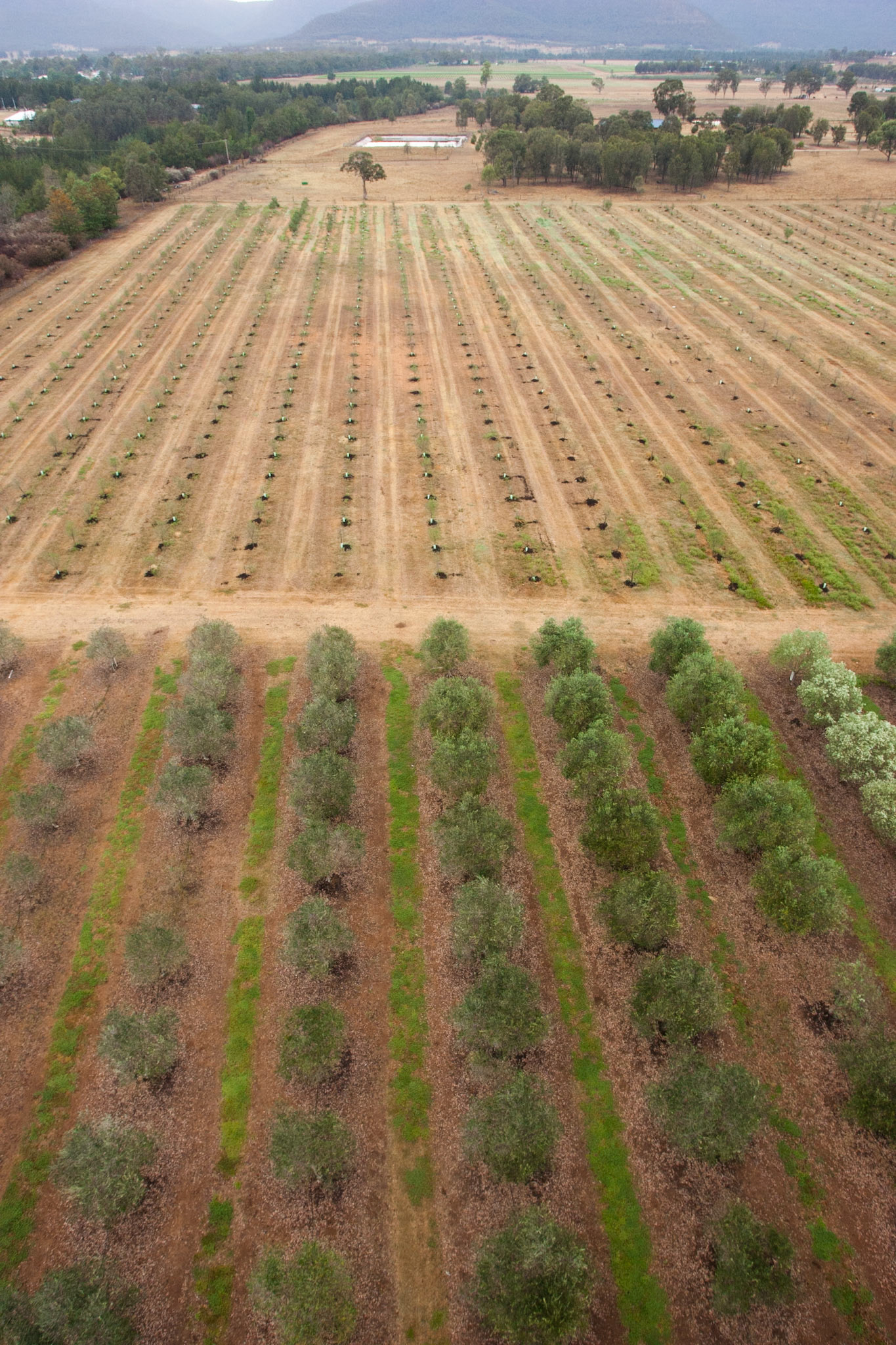 Hot air balloon ride in the Hunter Valley, New South Wales.