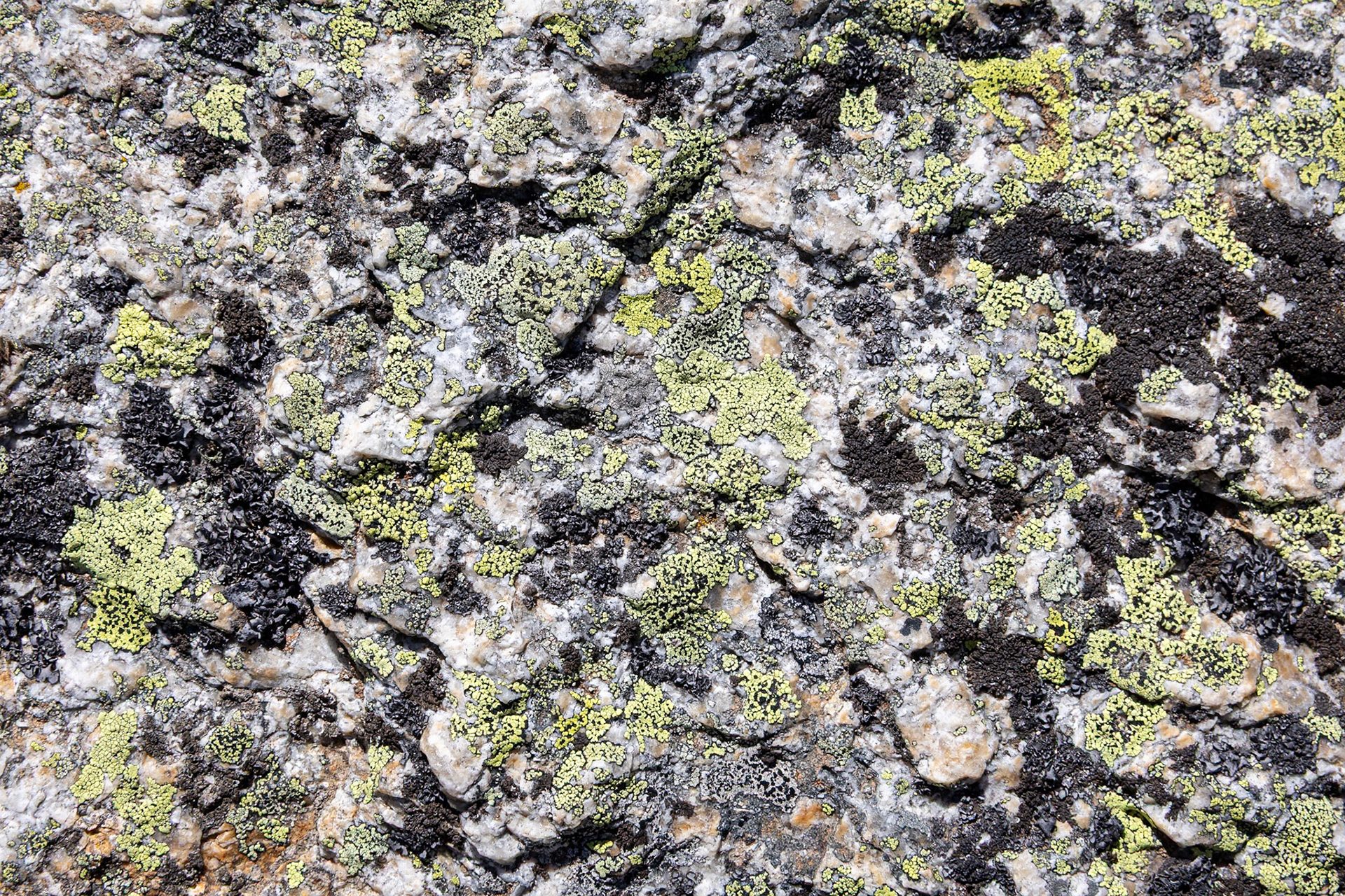 Thredbo to Kosciuszko Summit, Snowy Mountains Mountains, New South Wales, Australia