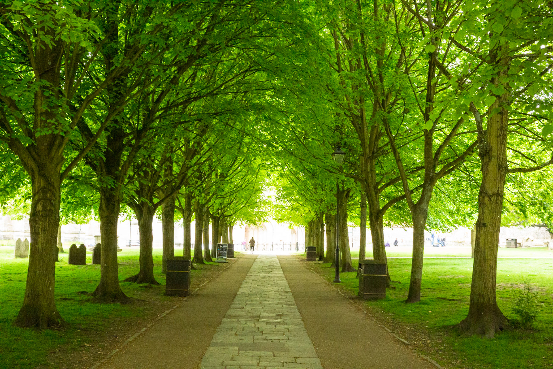 Winchester Cathedral, founded in 642, in Winchester, Hampshire, England