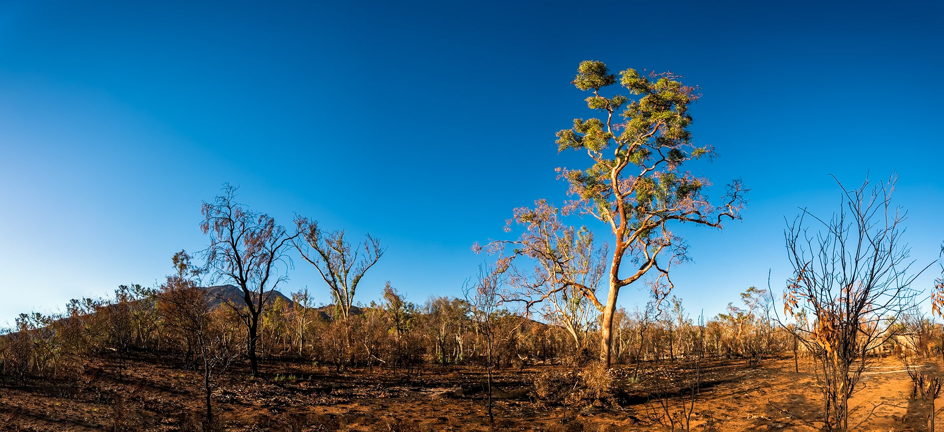 Camp Fearless, Larapinta Trail, Northern Territory, Australia