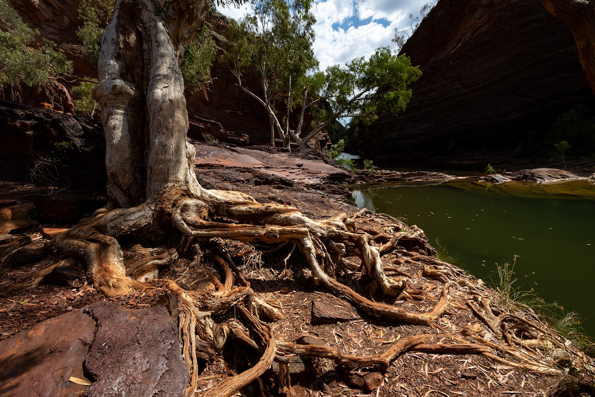 Hamersley Gorge,  National Park, Western Australia