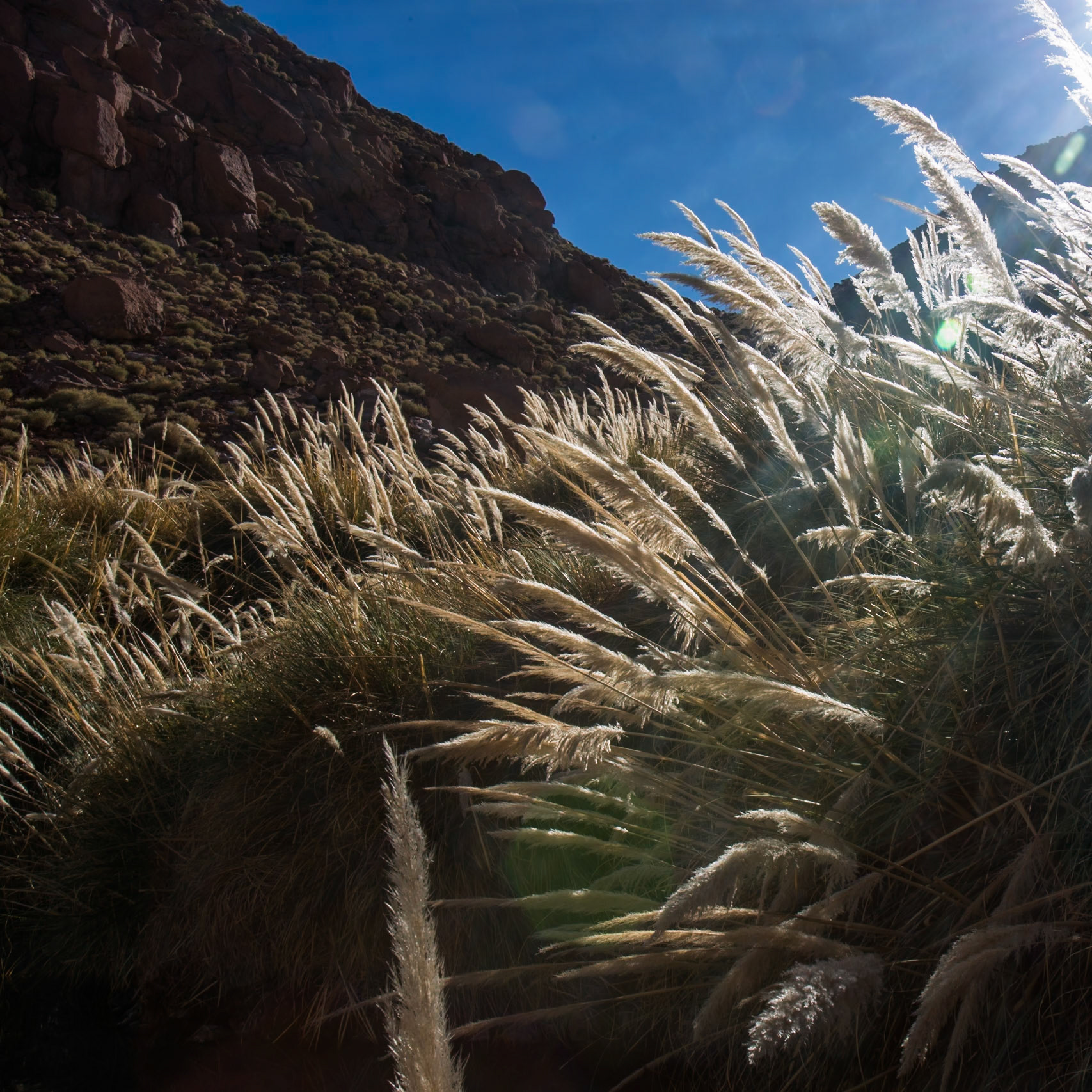 Puritama hot springs, Atacama, Chile