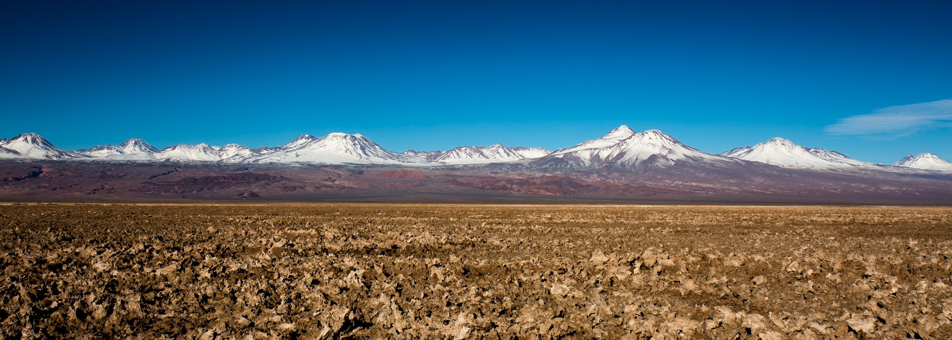 Salar de Atacama, Chaxa lagoon, Atacama, Chile