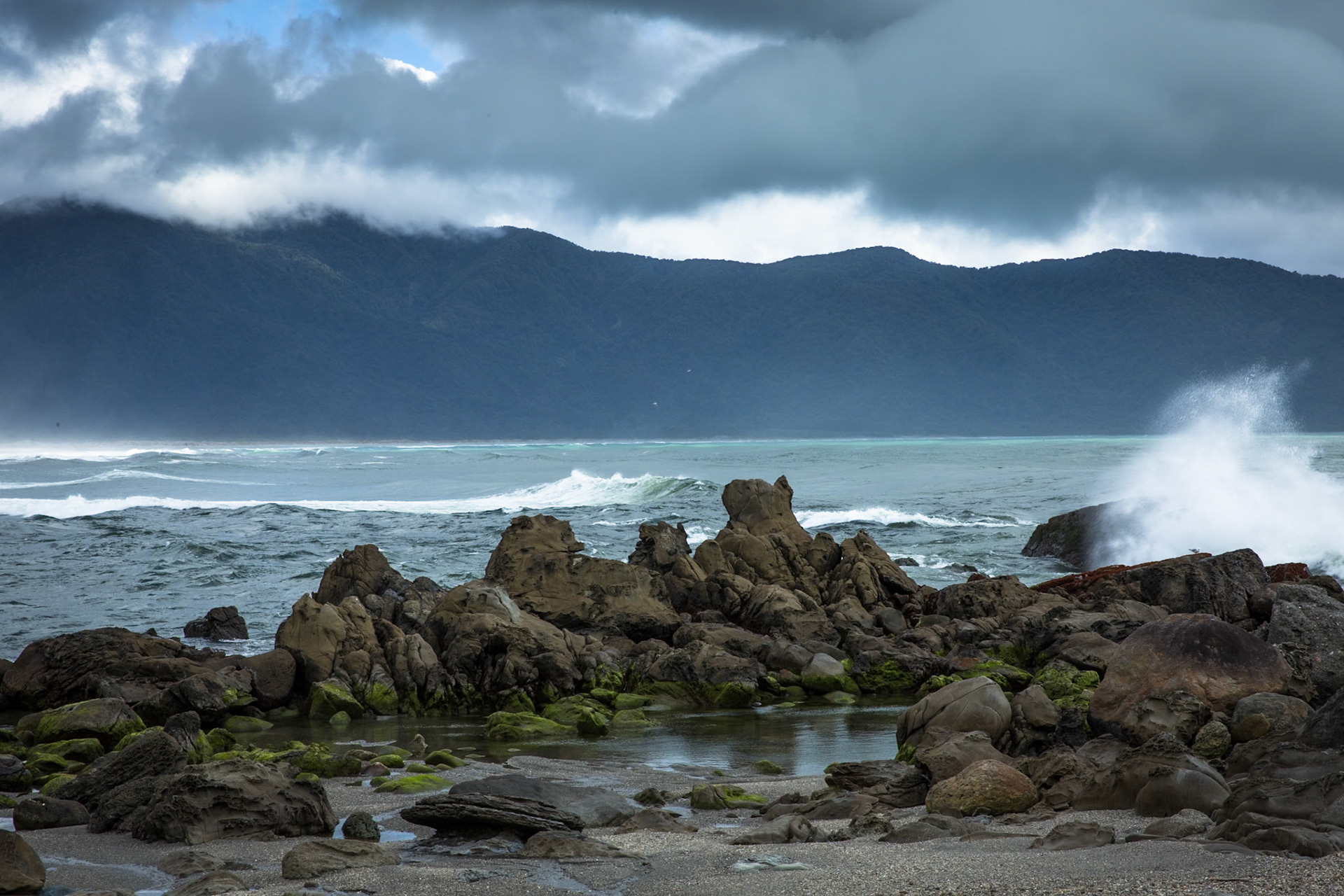 Longreef, Hollyford Track, Pyke Lodge to Martin's Bay, New Zealand