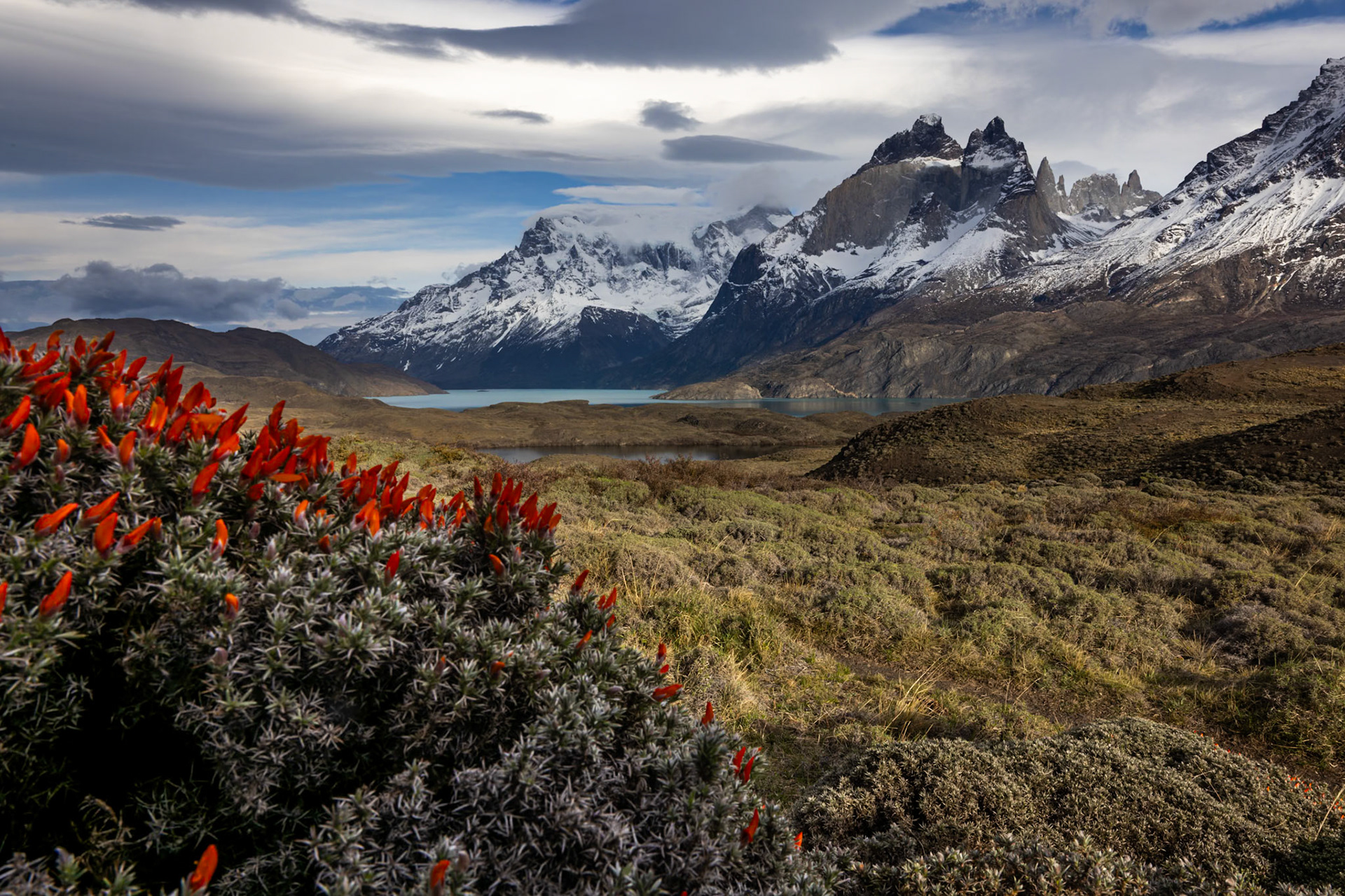 Torres del Paine, Patagonia, Chilé
