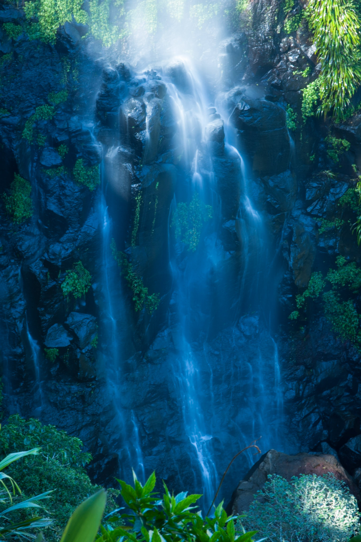 Lamington National Park, Queensland