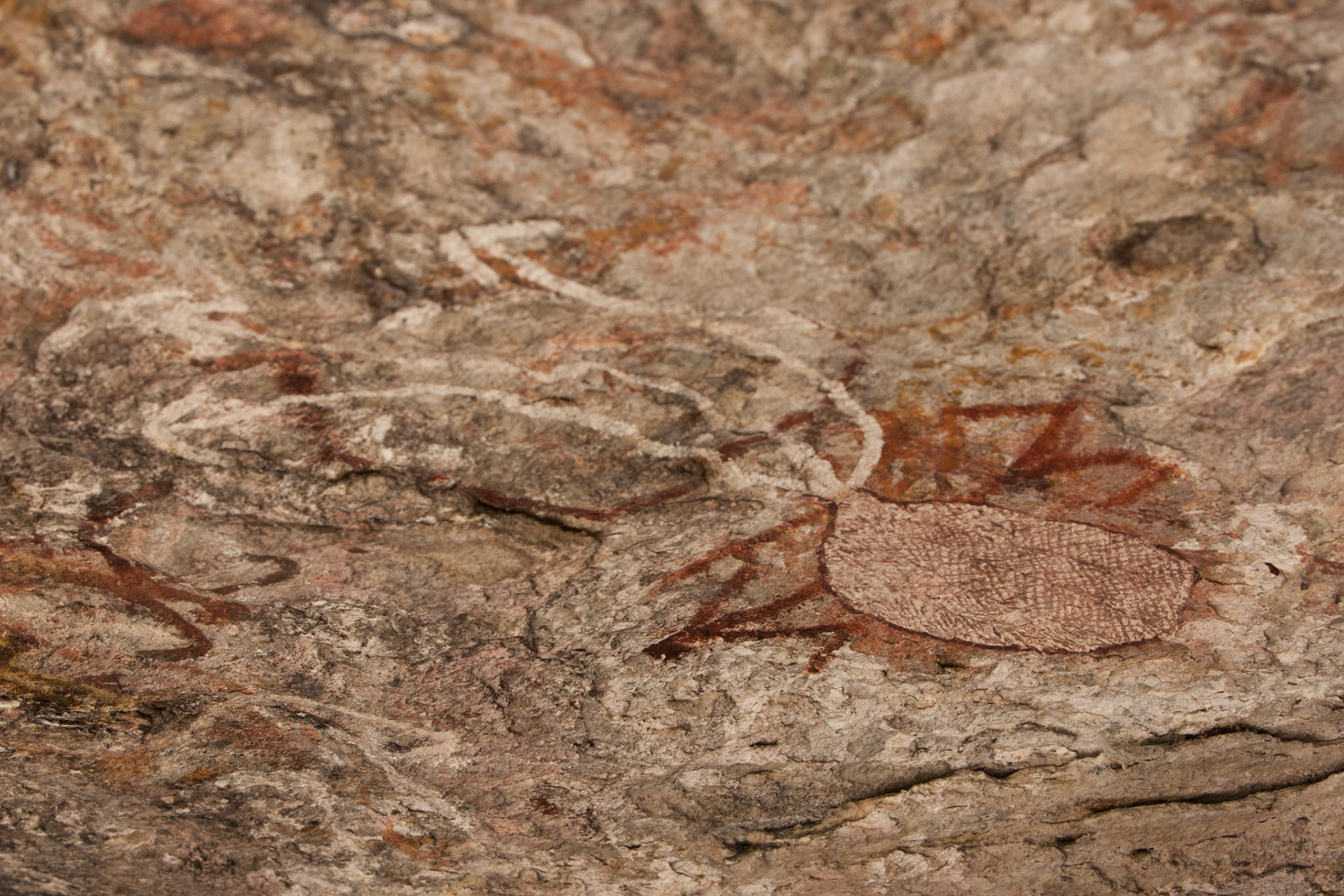 Rock-art, Mount Borradale, Arnhemland, Northern Territory