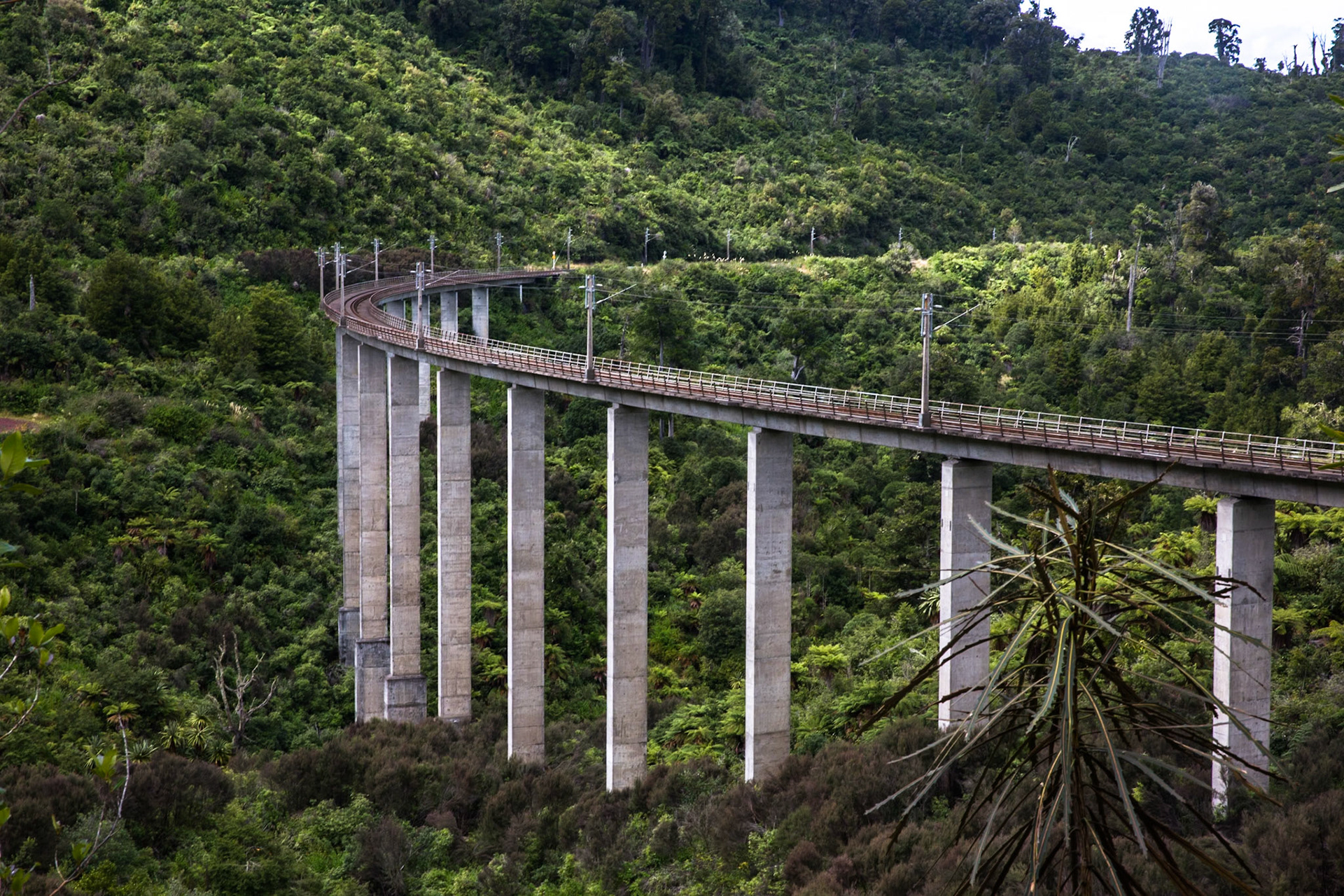 Old Coach Road, Tongariro, New Zealand