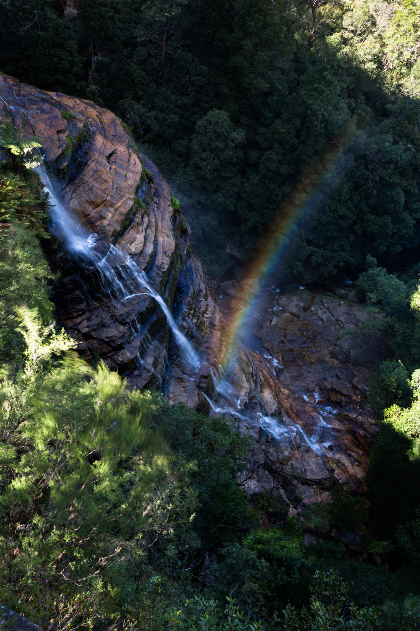 Started on the track to Golf Links lookout. Walked past the Pool of Siloam to Gordon Falls lookout. Followed the Prince Henry cliff walk to Leura Cascades from where we descended through Leura Forest to the junction with Federal Pass tea stop. Continued along Federal Pass past the junction with Dardanelles Pass (near the base of the Giant Staircase); past the base of Furber Steps to the Scenic Railway lower station (Lunch stop).  Some returned via the Scenic Railway, whilst others retraced steps and ascended the Giant Staircase to Echo Point. Notes by Peter Watt.