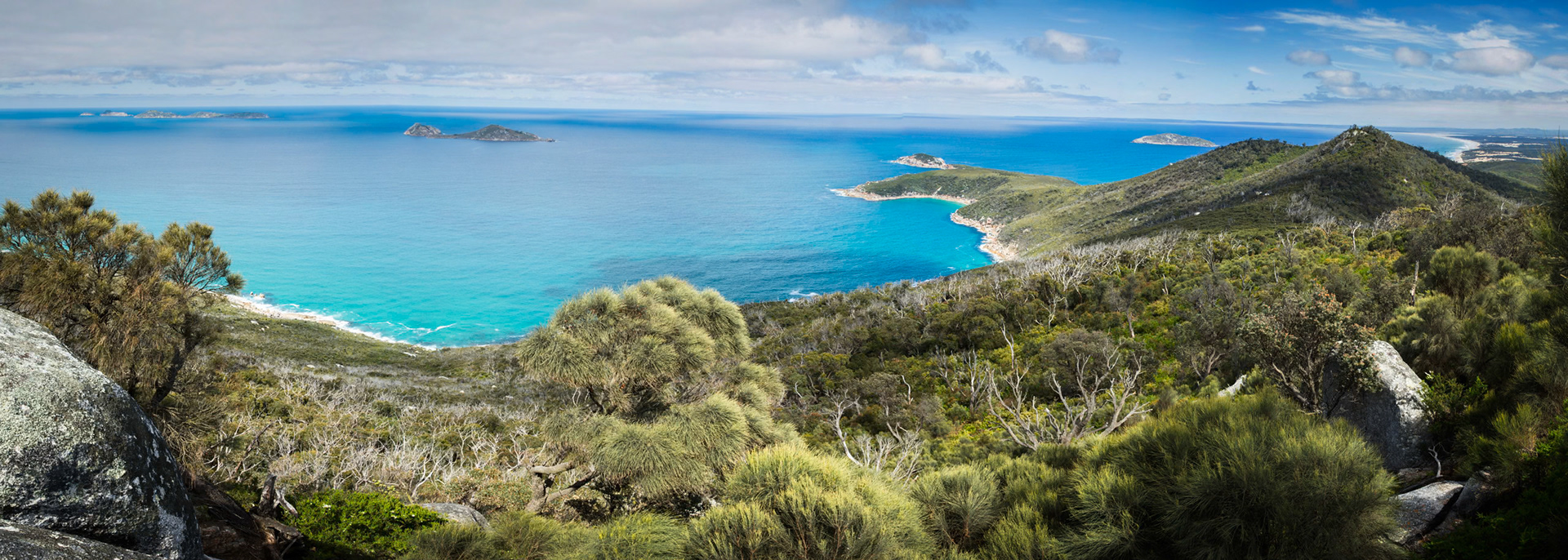 Tuesday am - Derby Saddle via Sparkes Lookout and Lookout Rocks to Tongue Point; and then on to Derby River for lunch.Tuesday pm - Lilly Pilly Gully carpark up to Tidal Overlook and on to Pillar Point then via Squeaky Beach and Picnic Beach to Picnic Beach carpark.