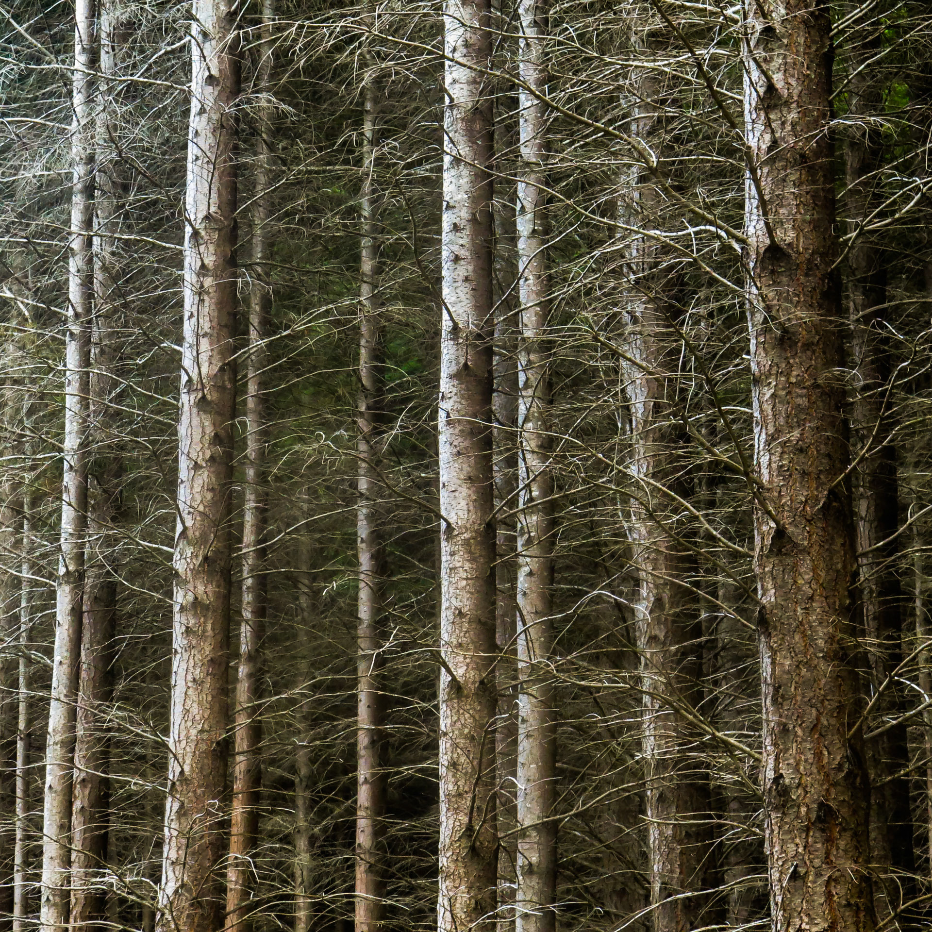 Queenstown, New Zealand