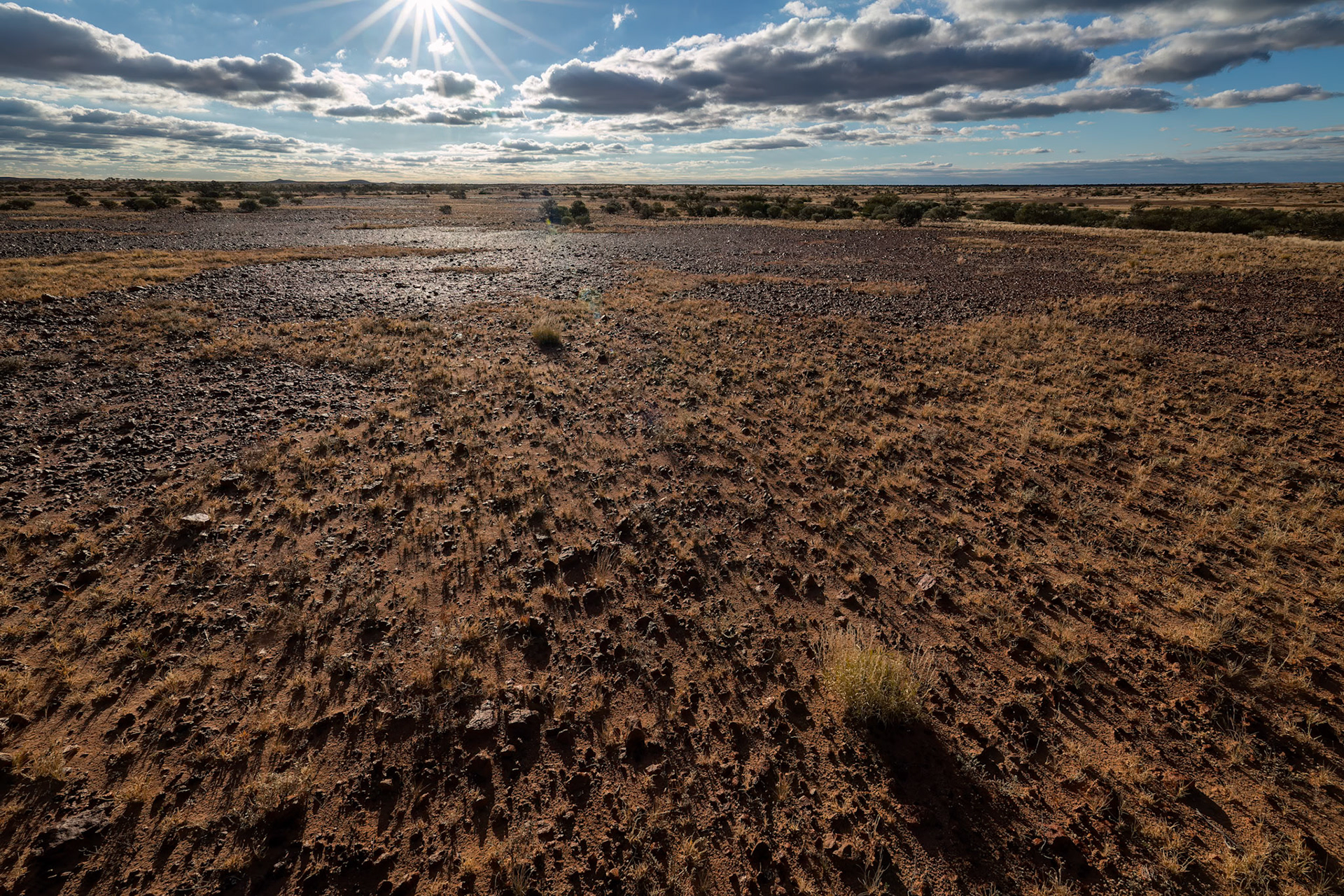 Gibber rock landscape, Birdsville, Queensland, Australia