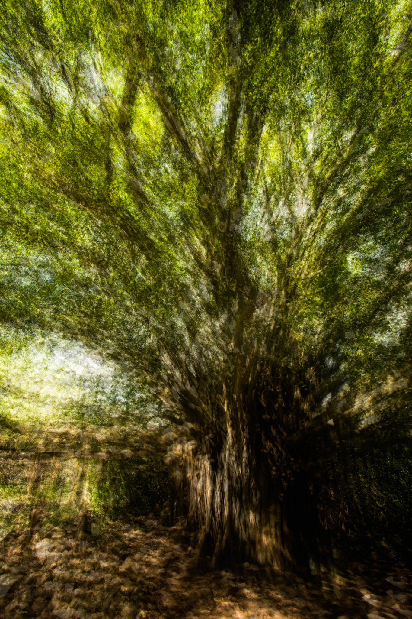 Kaupo to Hana, Maui, Hawaii, United States of America