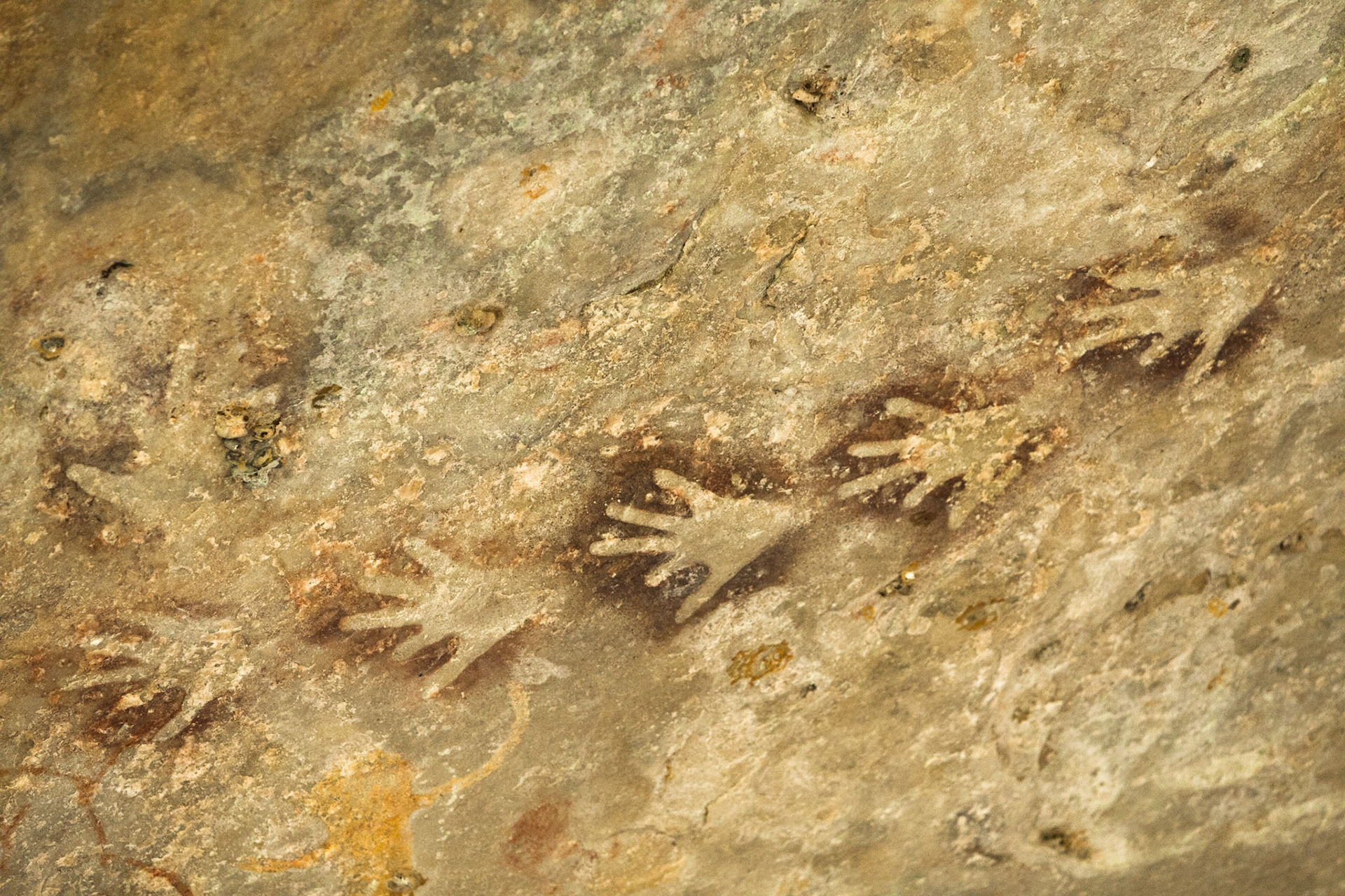 Rock-art hands, Mount Borradale, Arnhemland, Northern Territory