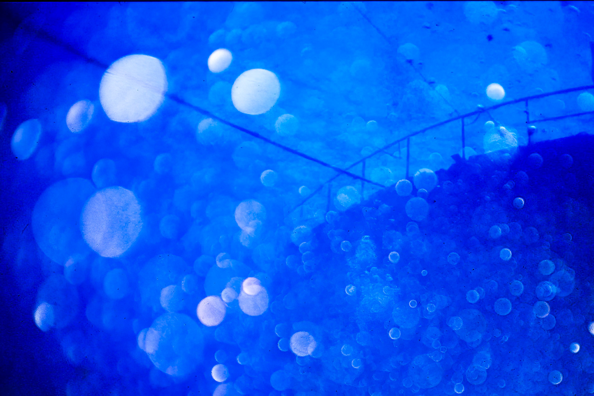 Bubbles and wreck, Comores