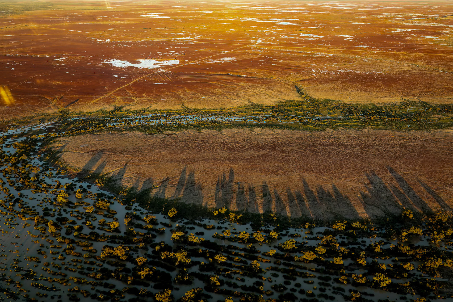 Landscape, Goyder lagoon, Birdsville, Queensland, Australia