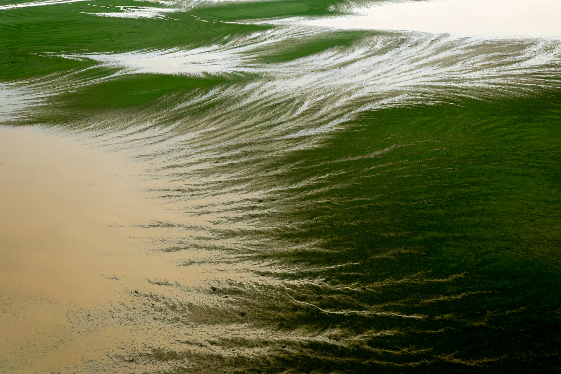 Landscape, Goyder lagoon, Birdsville, Queensland, Australia