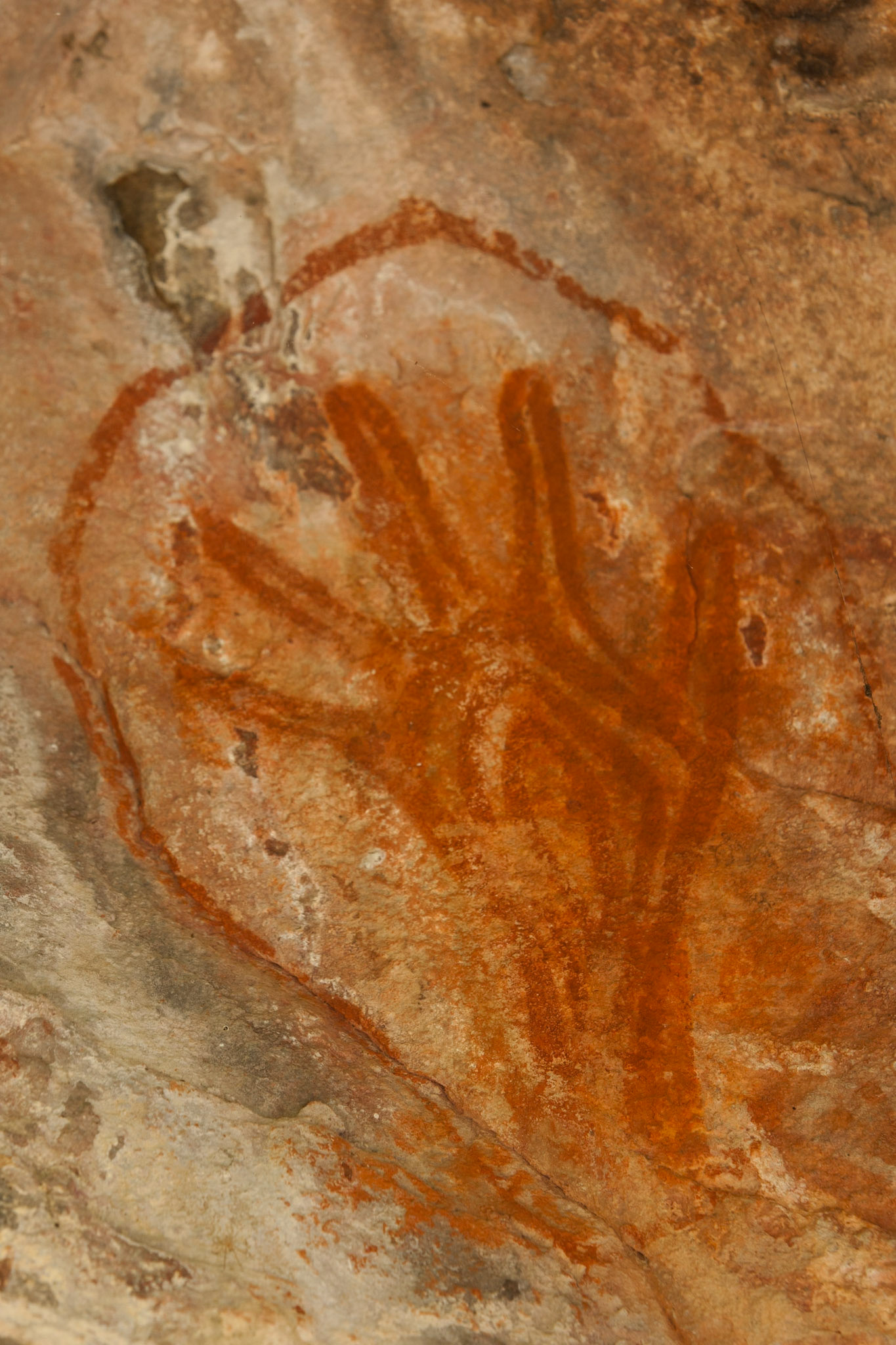 Rock-art hands, Mount Borradale, Arnhemland, Northern Territory