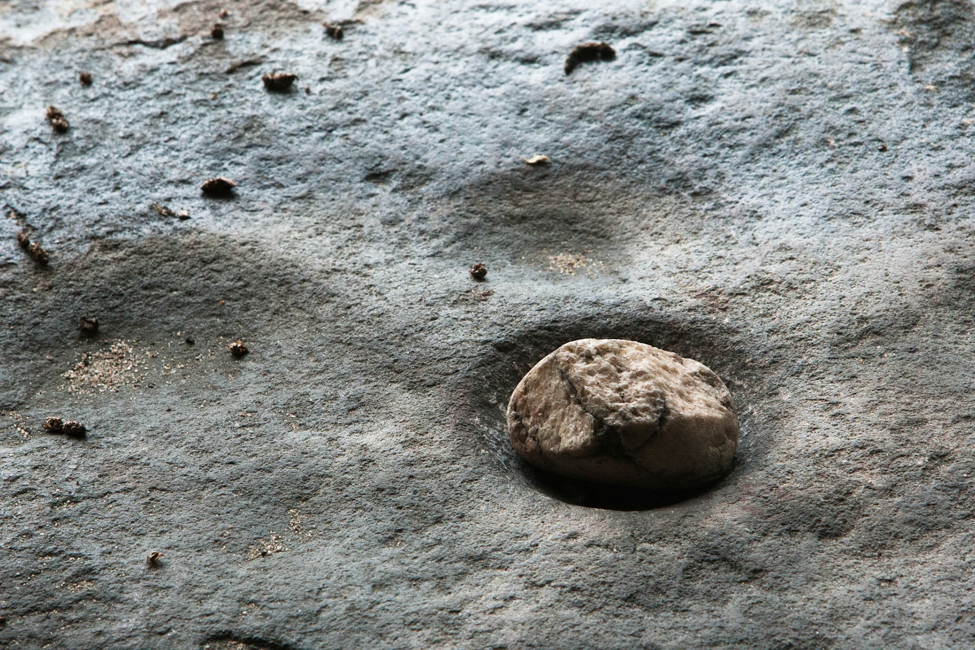 Grindingstone, Mount Borradale, Arnhemland, Northern Territory
