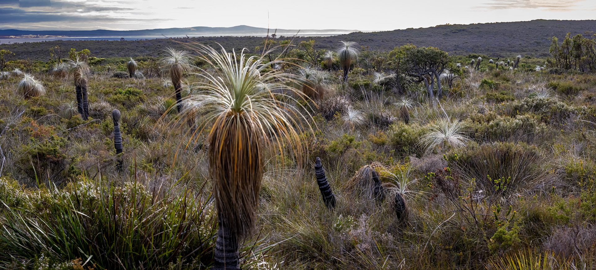 Cheynes Beach, West Australia