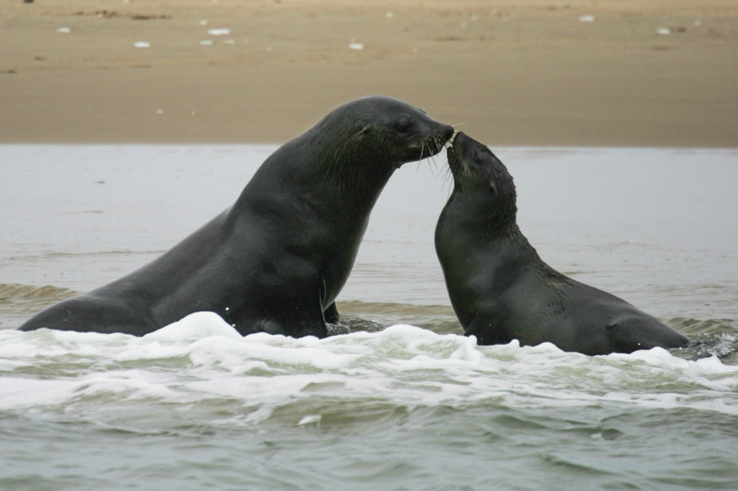 Sesriem to Sandwich harbour, Namibia
