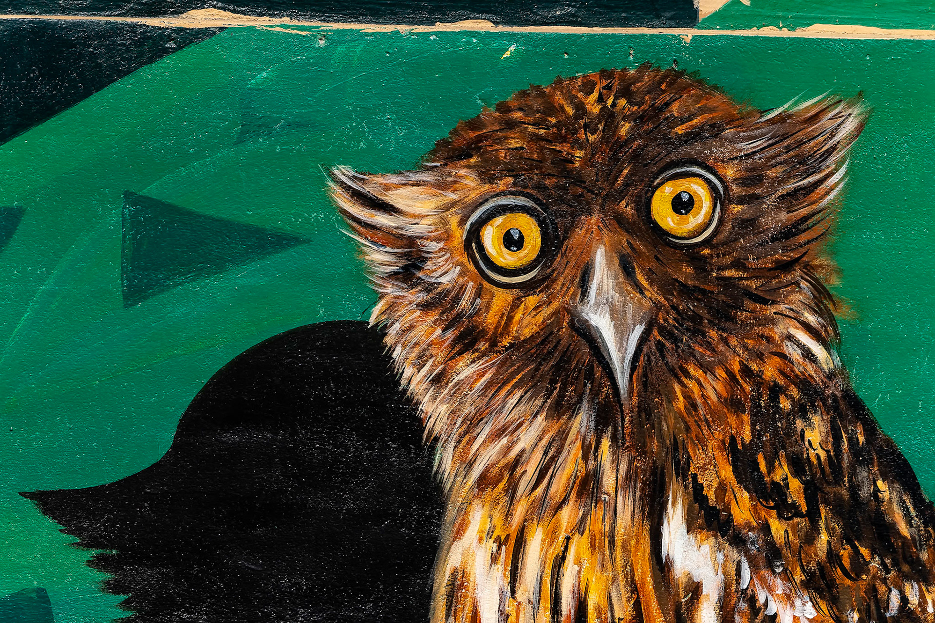 Brown fish-owl, Corbett Tiger Reserve, India