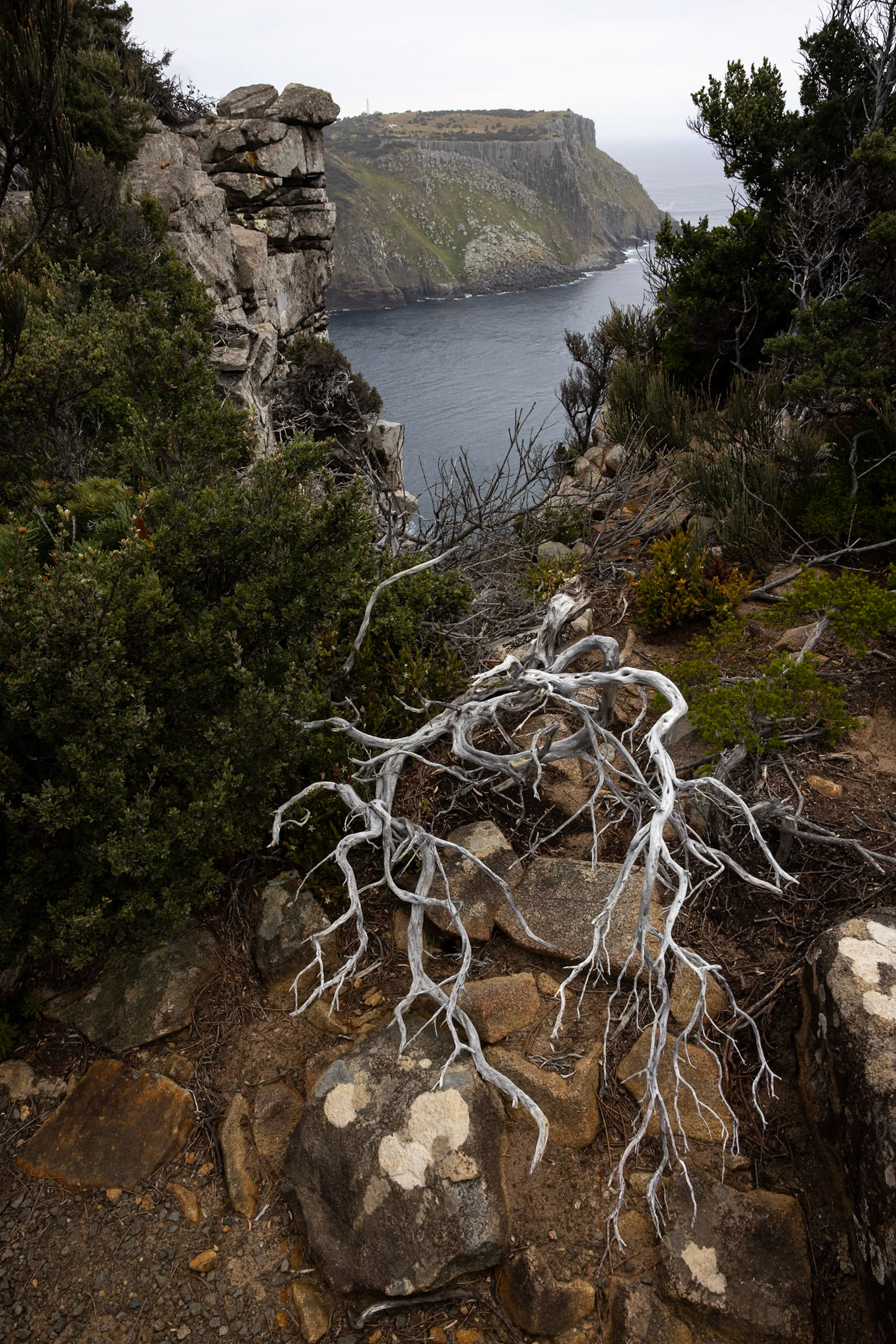 Three Capes Track, Cape Pillar Lodge to Cape Pillar and return, Tasmania