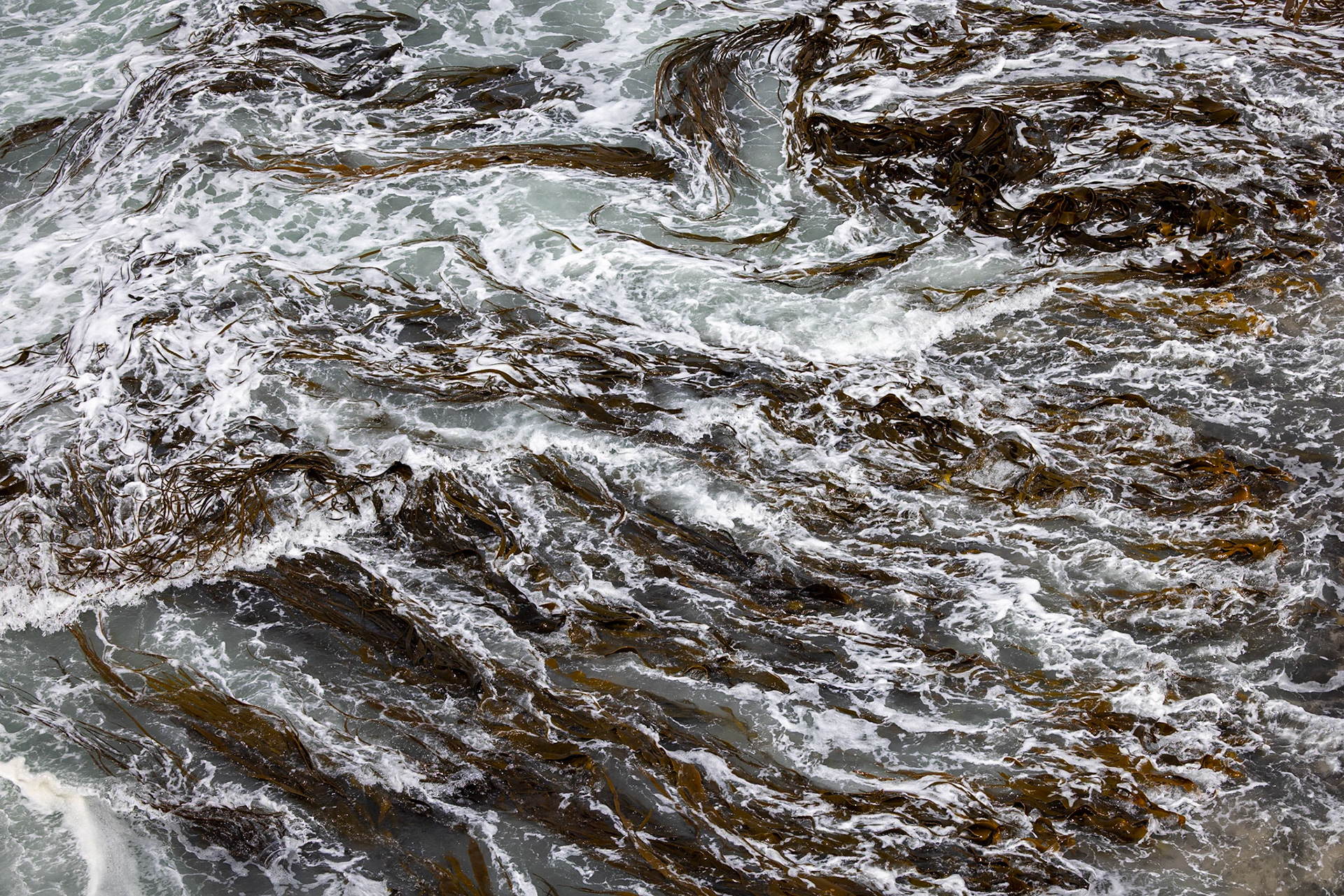 Between Dunedin and Invercargill