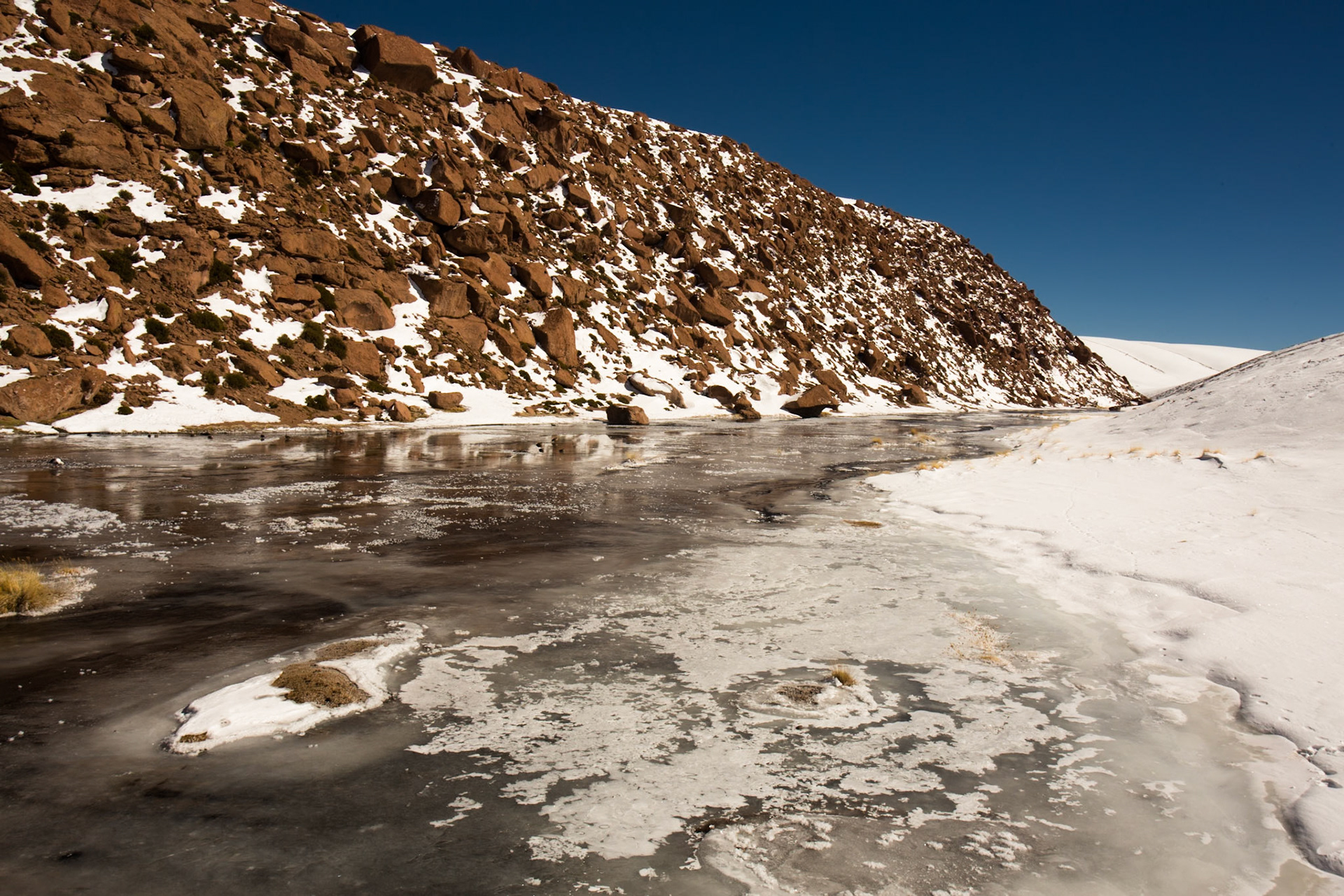 Altiplano wetlands, Atacama, Chile