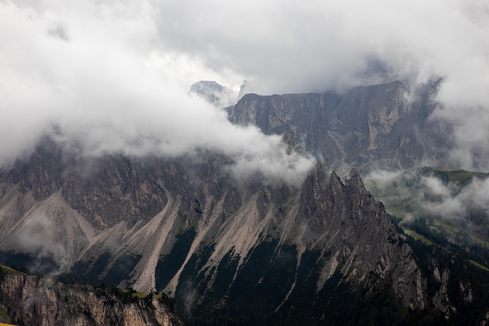 Stevia, Selva di Val Gardena, Dolomites, South Tyrol, Italy