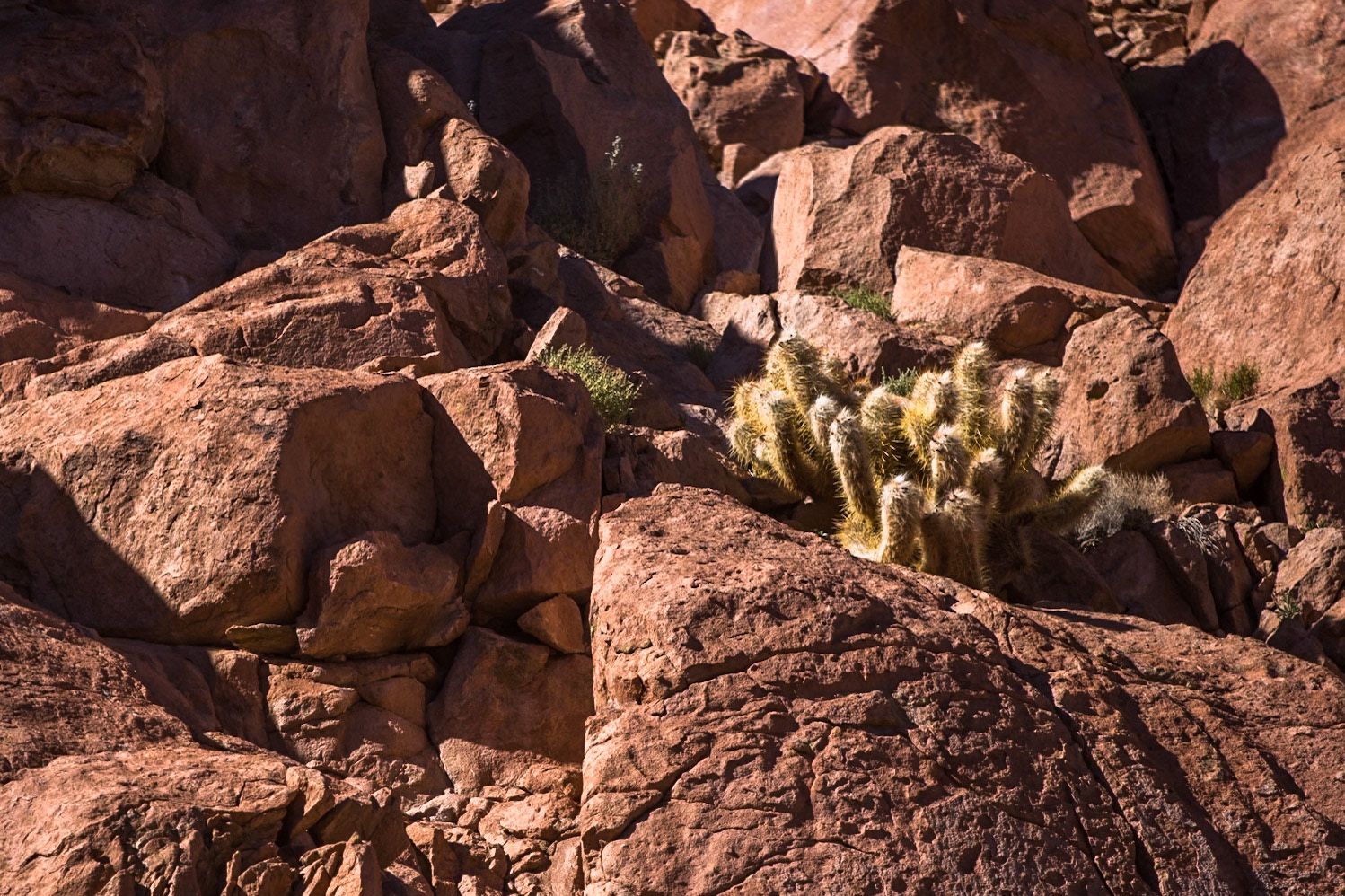 Puritama hot springs, Atacama, Chile