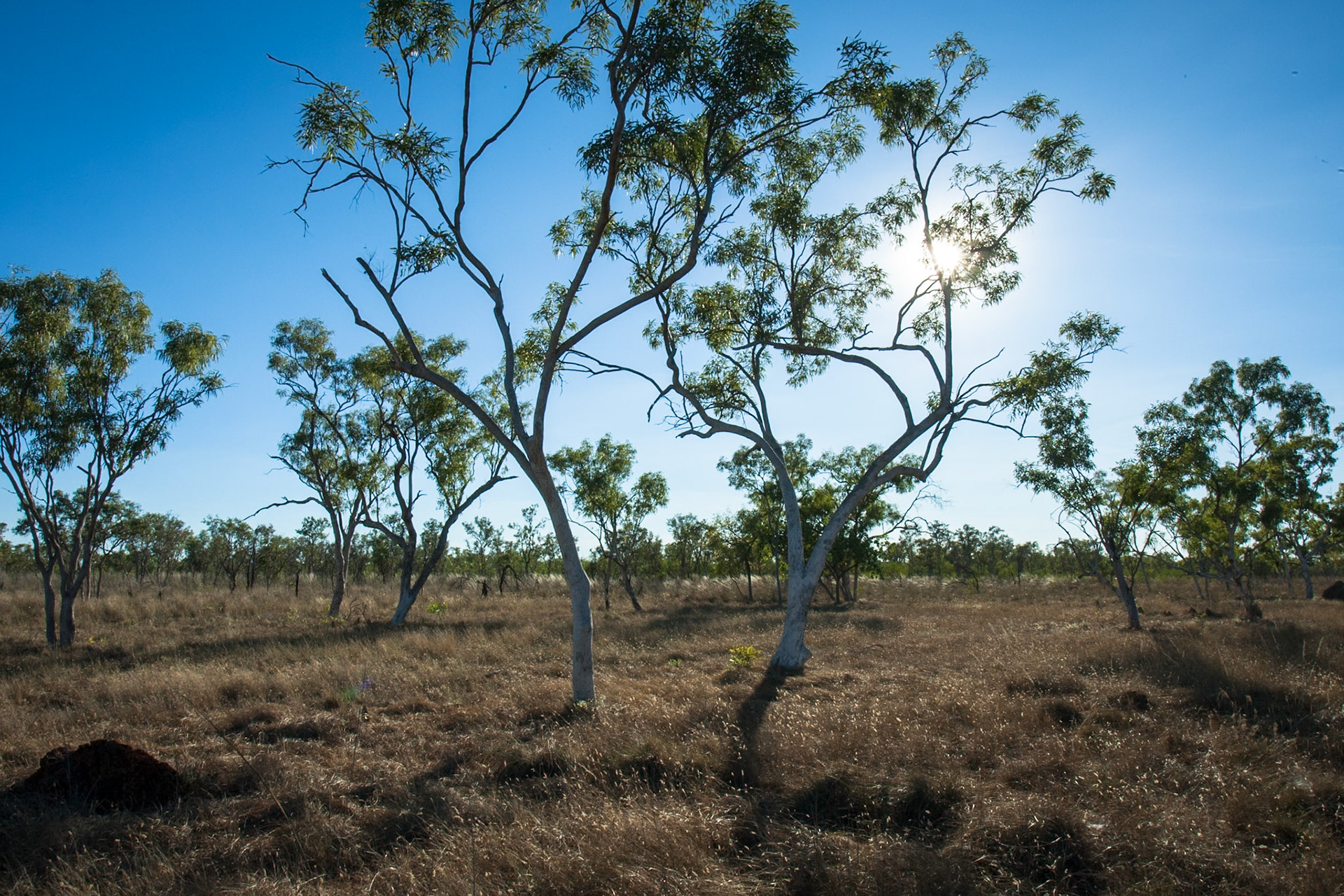 Broome, West Australia