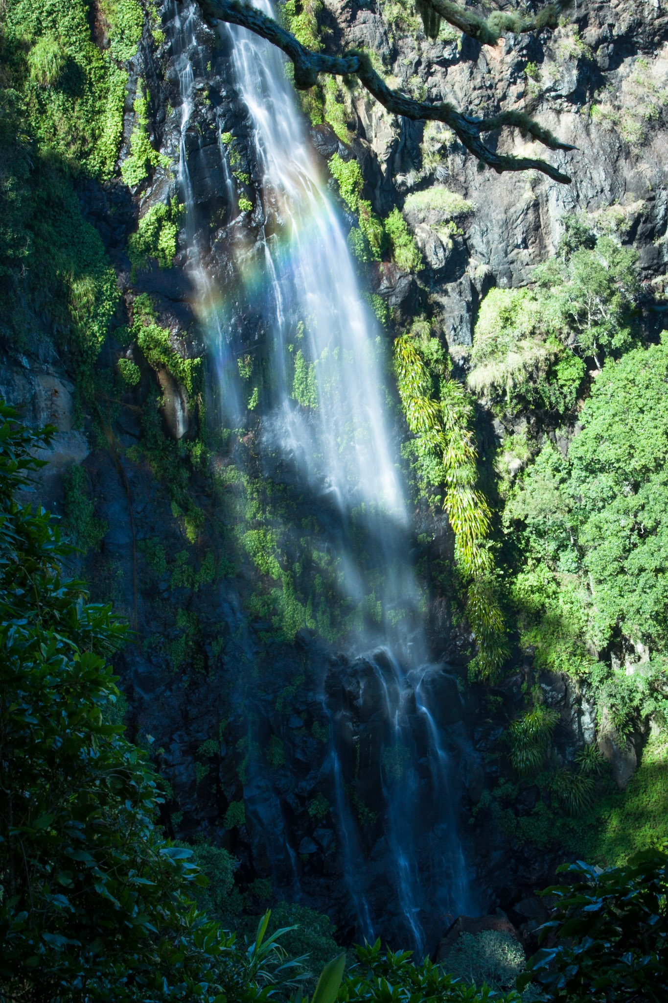 Lamington National Park, Queensland