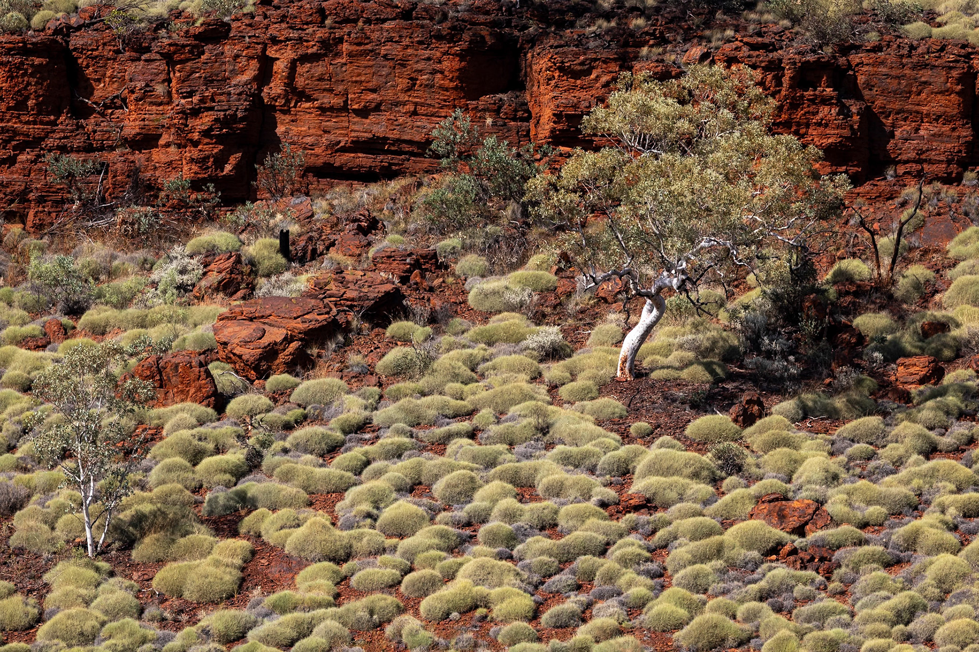 Handrail Pool, Weano Gorge, Karijini National Park, Western Australia
