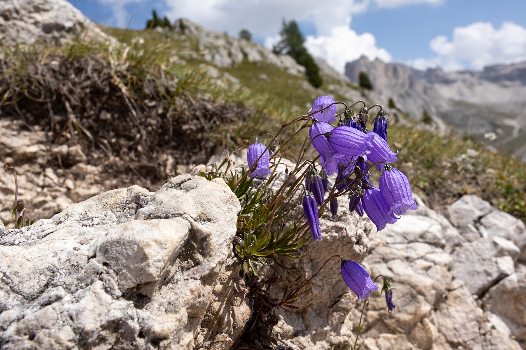 Seceda, Refugio Firenze, Selva di Val Gardena