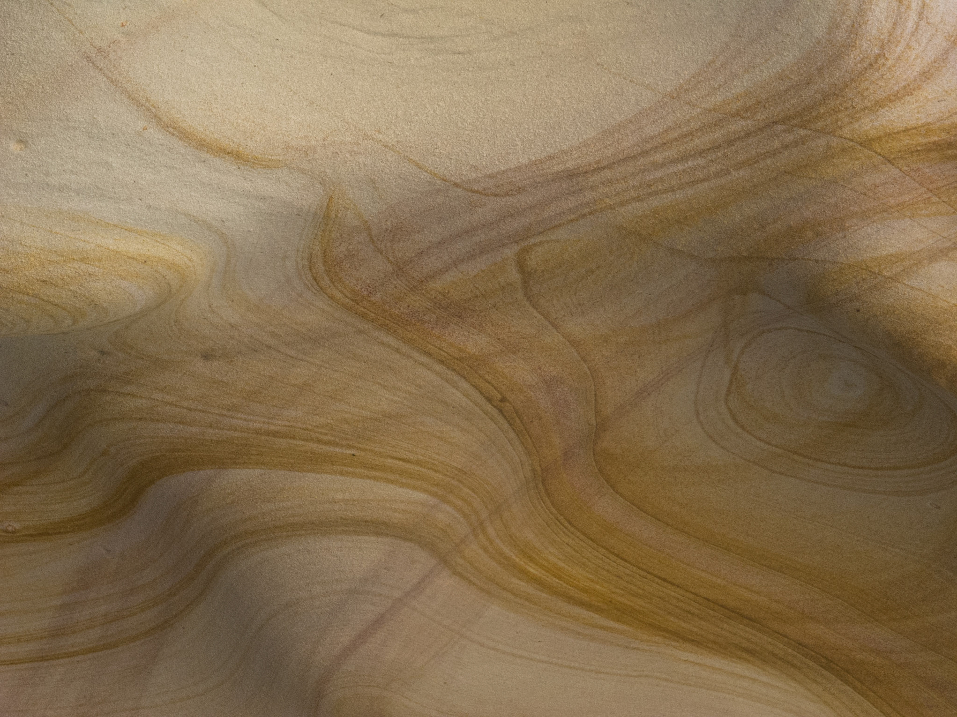 Sculpture by the Sea. An annual exhibition of sculptures presented along the Bondi to Tamarama coastal walk.