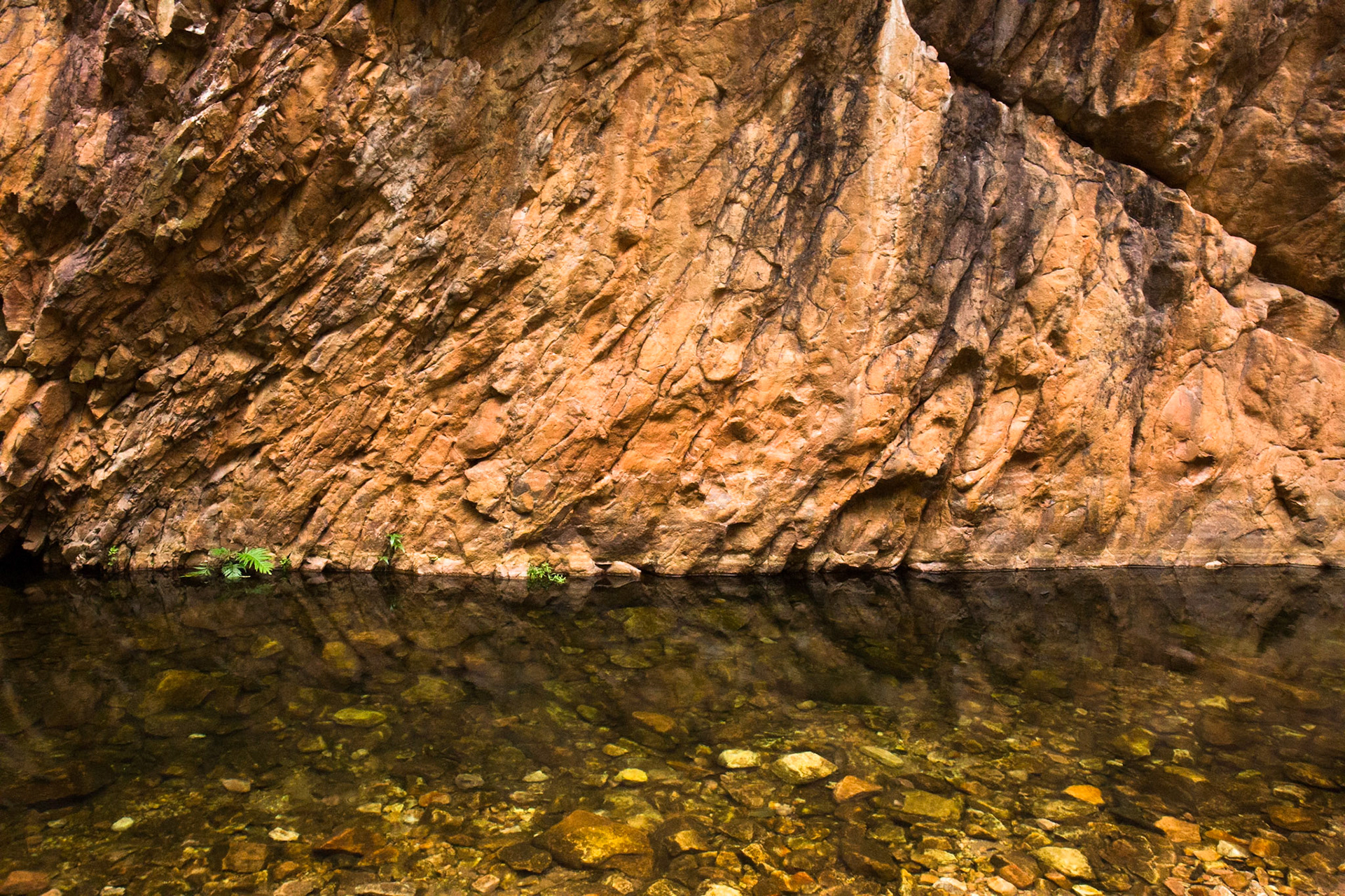El Questro Gorge, El Questro Wilderness Park, The Kimberly, Western Australia