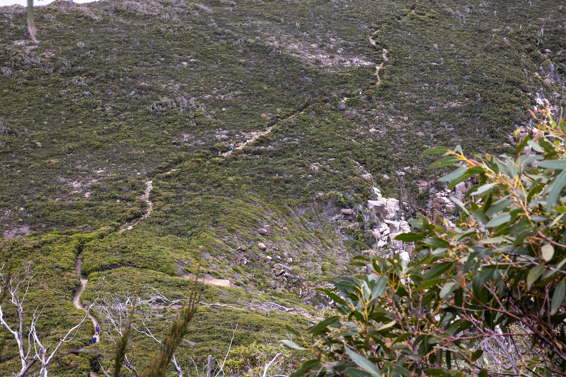 Three Capes Track, Cape Pillar Lodge to Cape Hauy and Fortescue Bay, Tasmania