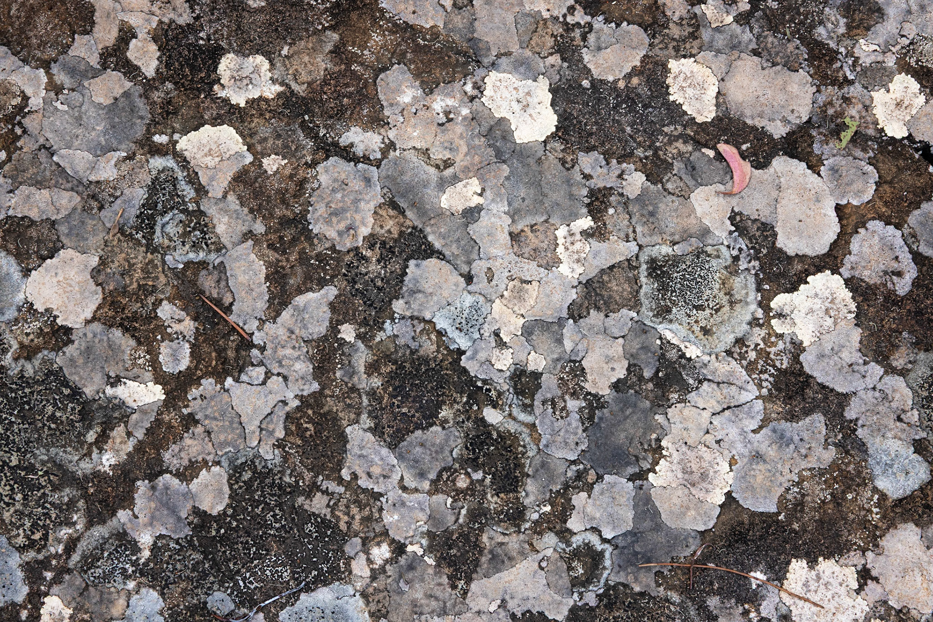 Three Capes Track, Cape Pillar Lodge to Cape Hauy and Fortescue Bay, Tasmania