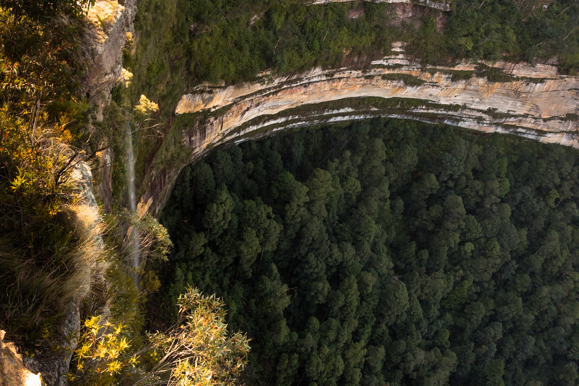 Descended from Neates Glen car park down to and through the Grand Canyon and back up to Evans Lookout. We continued along the clifftop path to Govett's leap and then on to Pulpit Rock. Notes by Peter Watt.