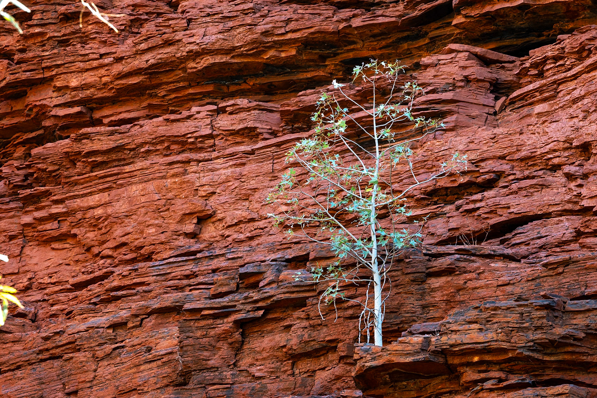 Handrail Pool, Weano Gorge, Karijini National Park, Western Australia