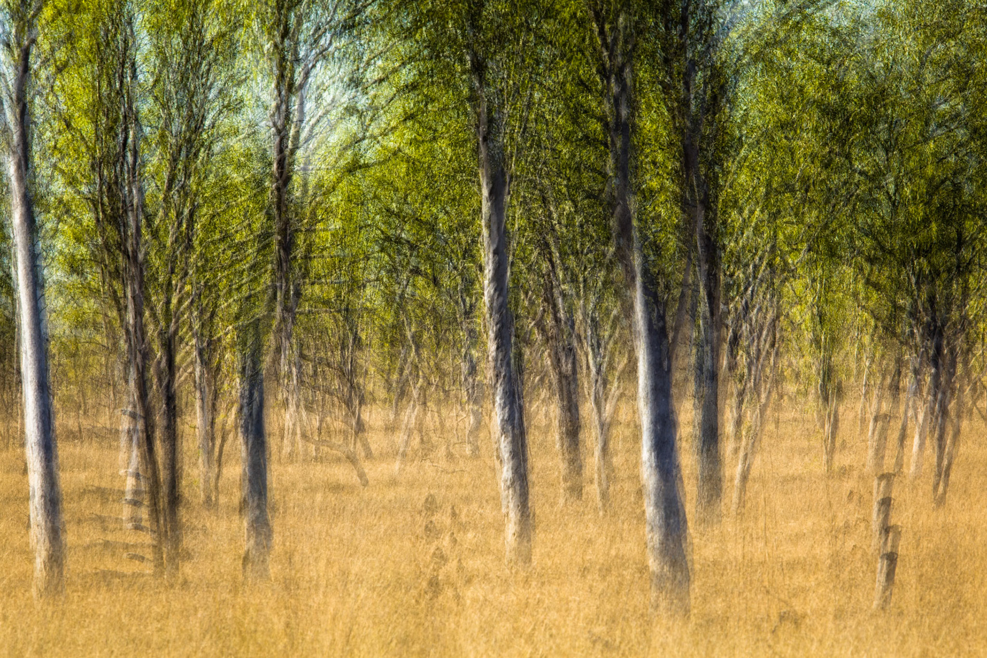 Broome, West Australia