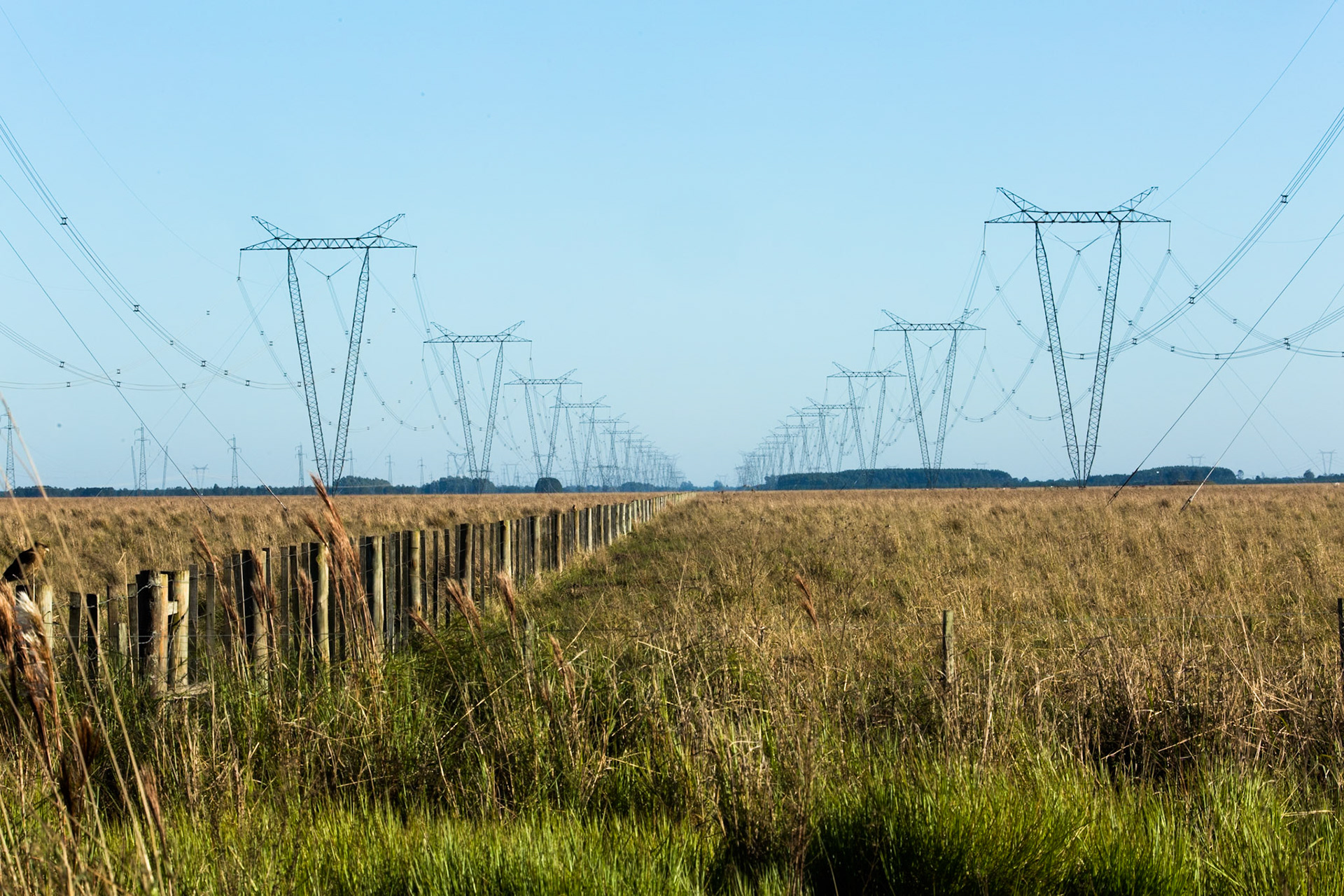 Puerto Valle Esteros, Ibera wetlands, Corrientes, Argentina